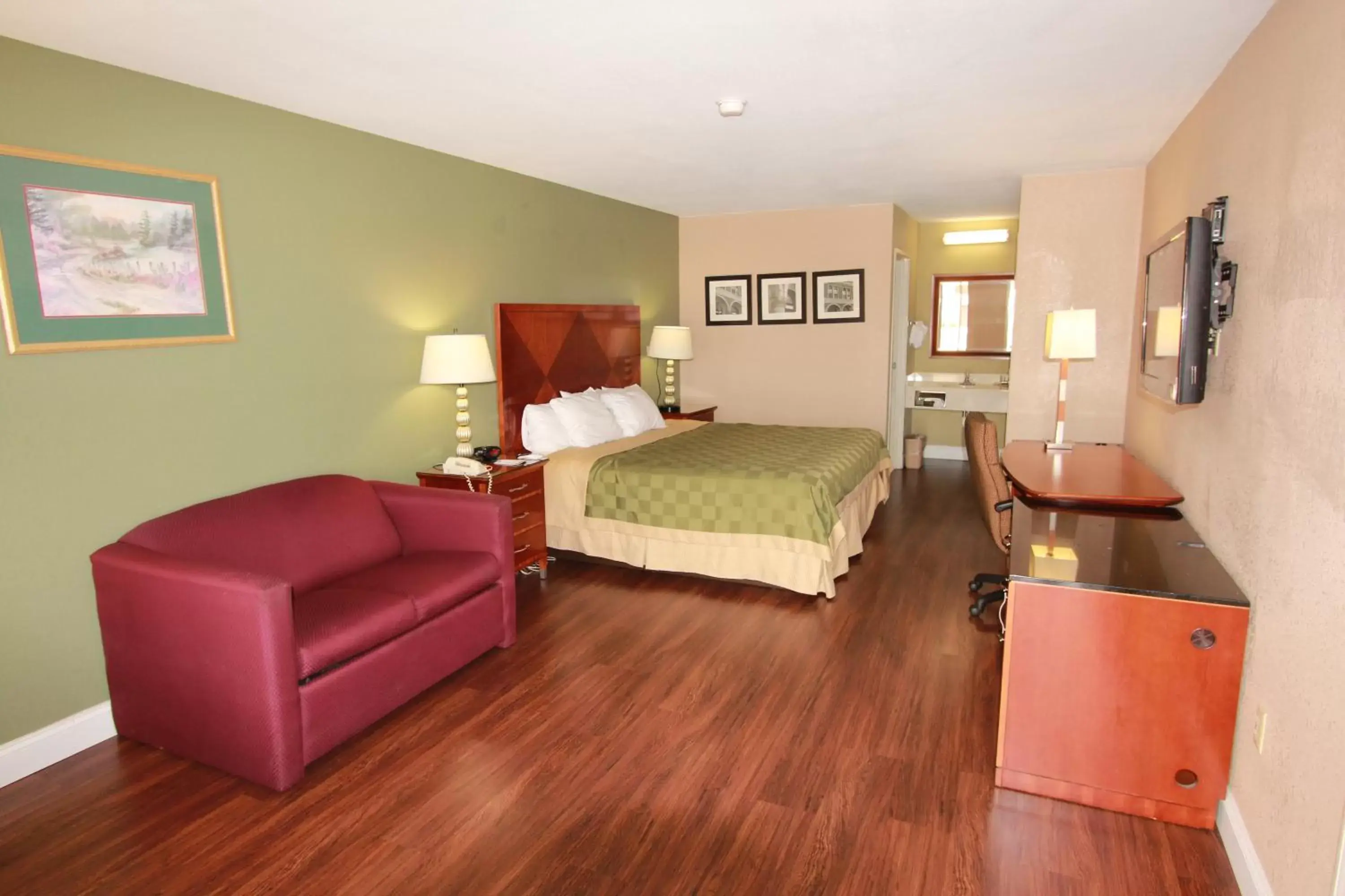 Standard King Room - Non-Smoking  in Quality Inn & Suites near Robins Air Force Base