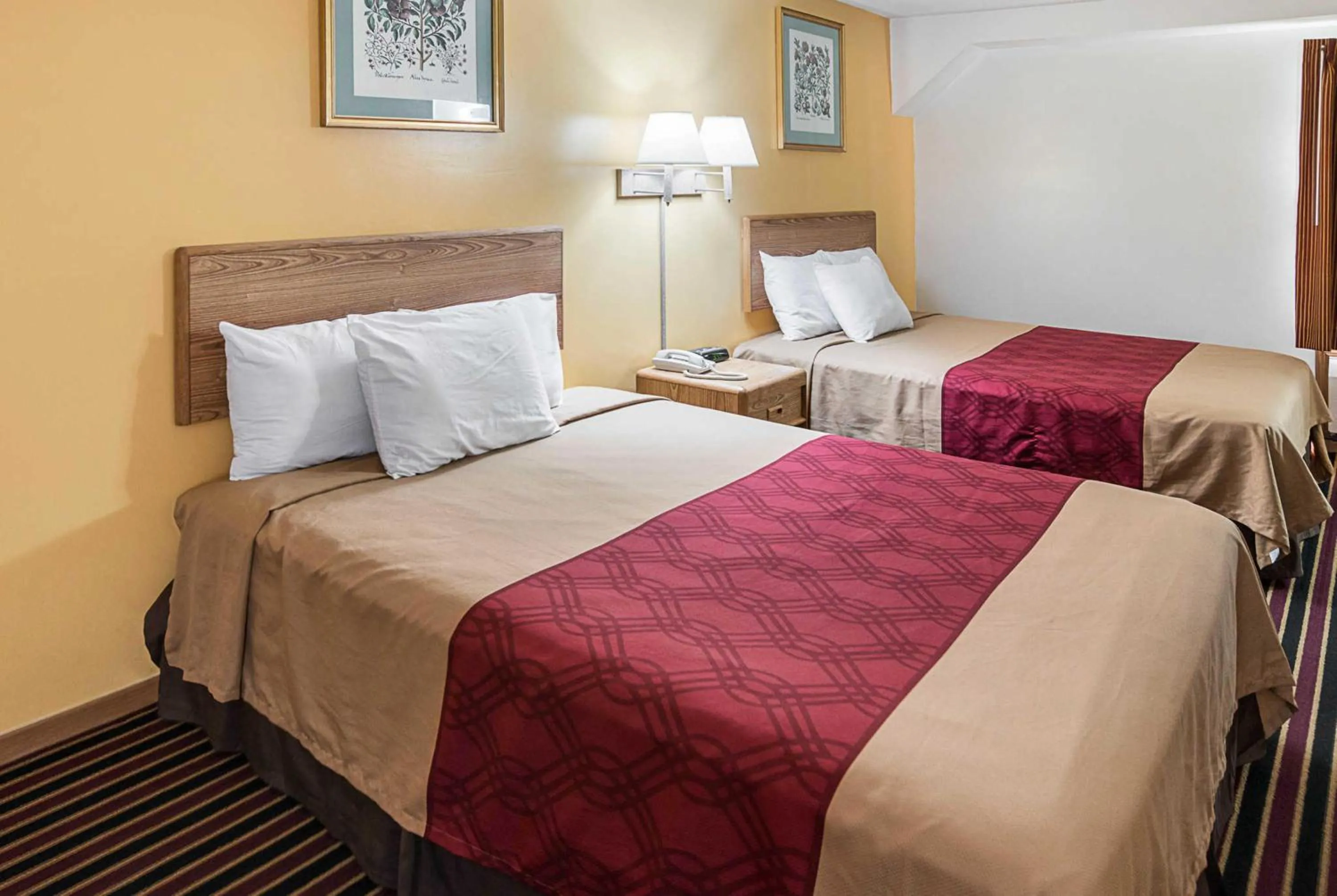 Queen Room with Two Queen Beds - Non-Smoking in Rodeway Inn & Suites
