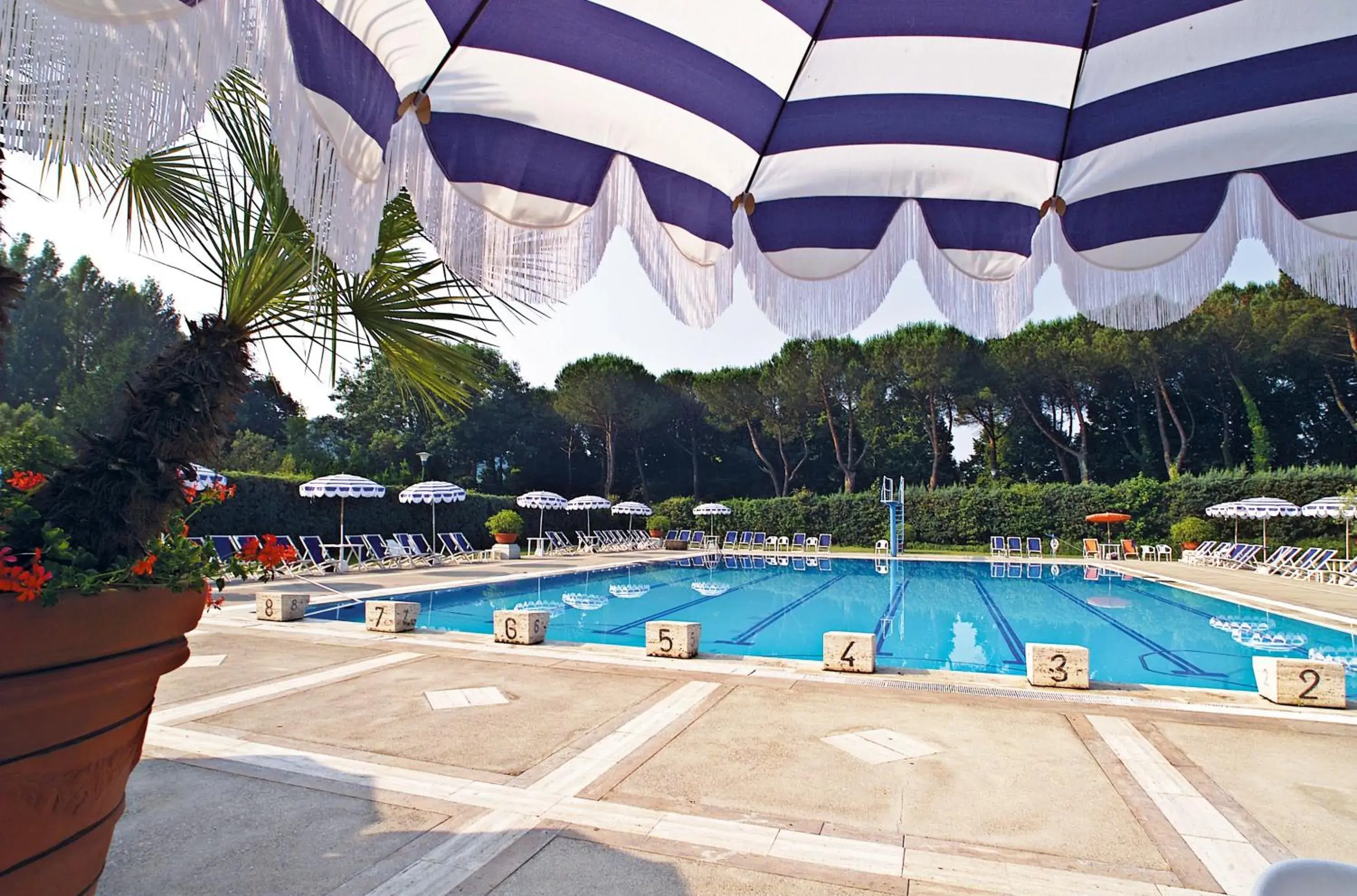 Day, Swimming Pool in Hotel Country Club