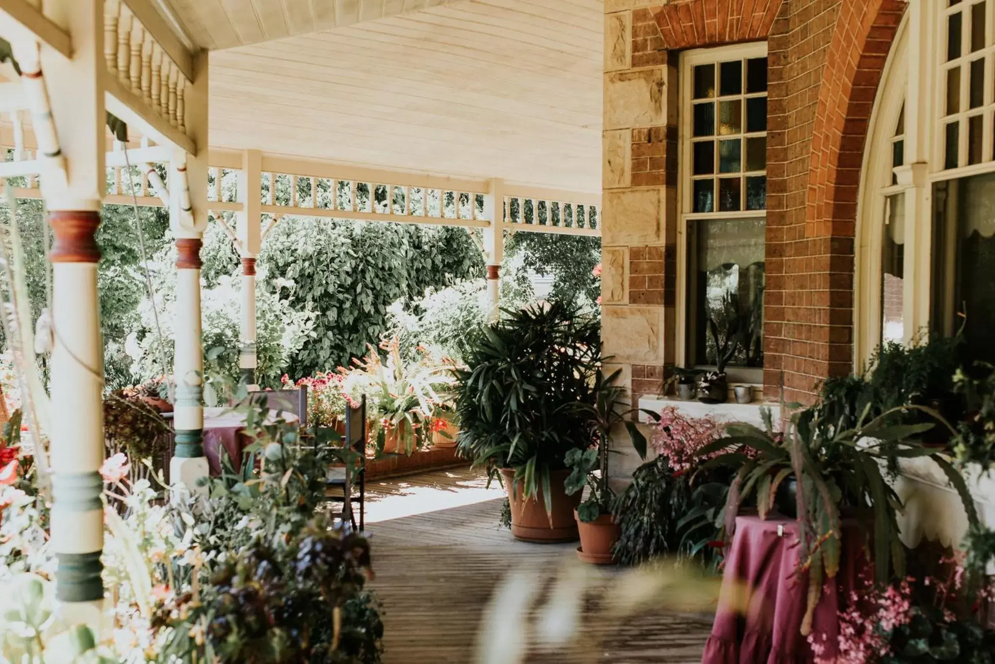 Garden in Forgandenny House B&B