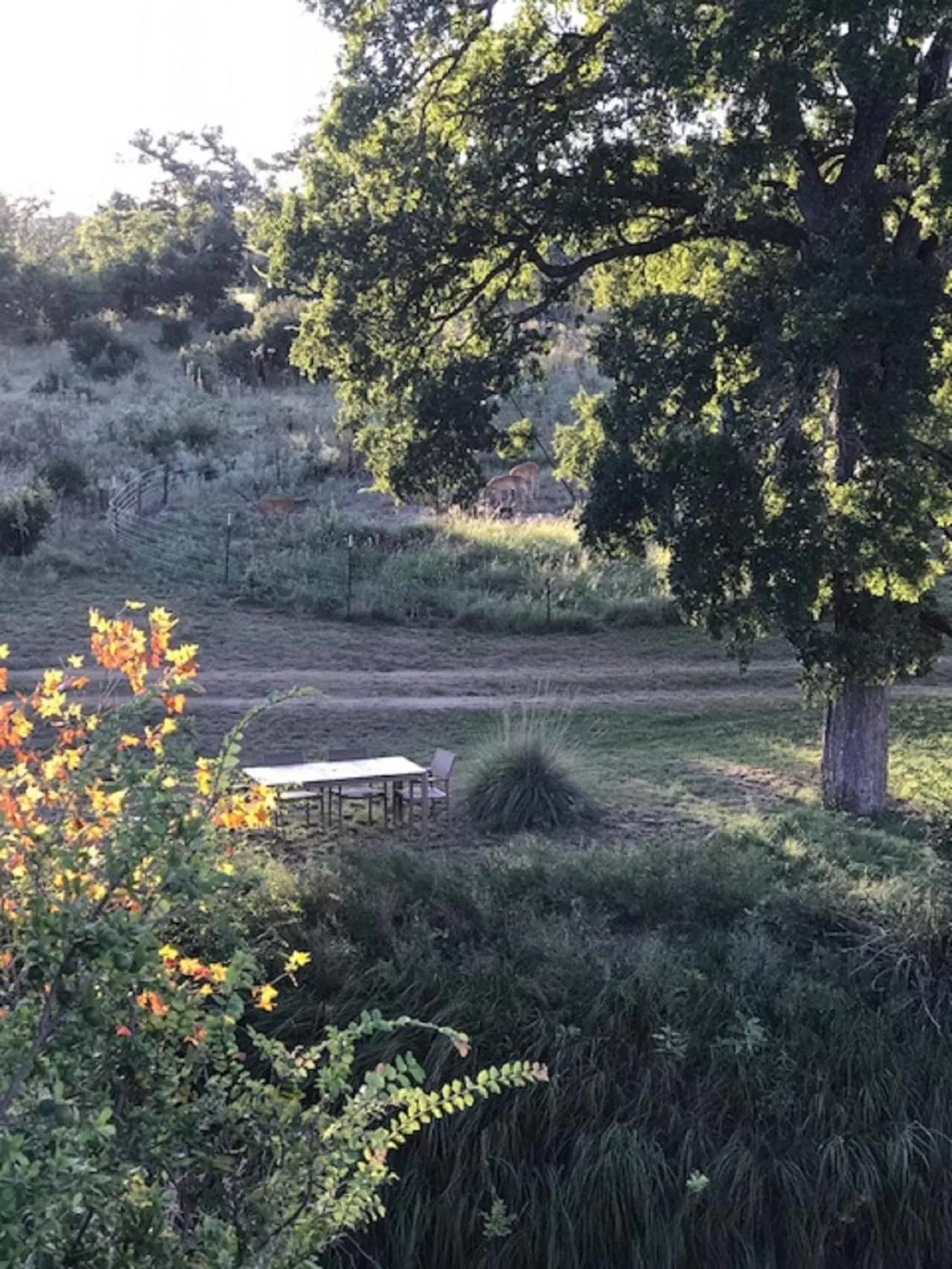 City on a Hill at Spring Creek