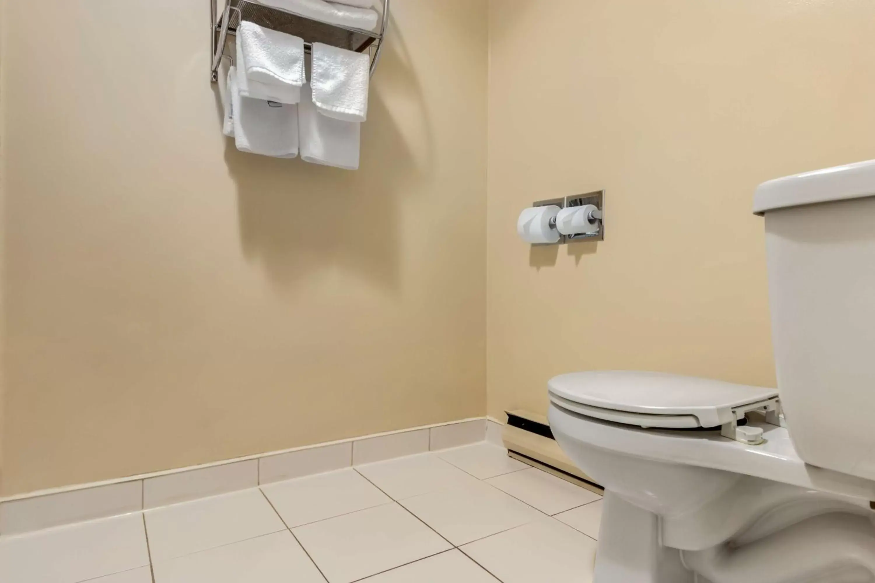 Bathroom in Best Western Plus Dryden Hotel and Conference Centre