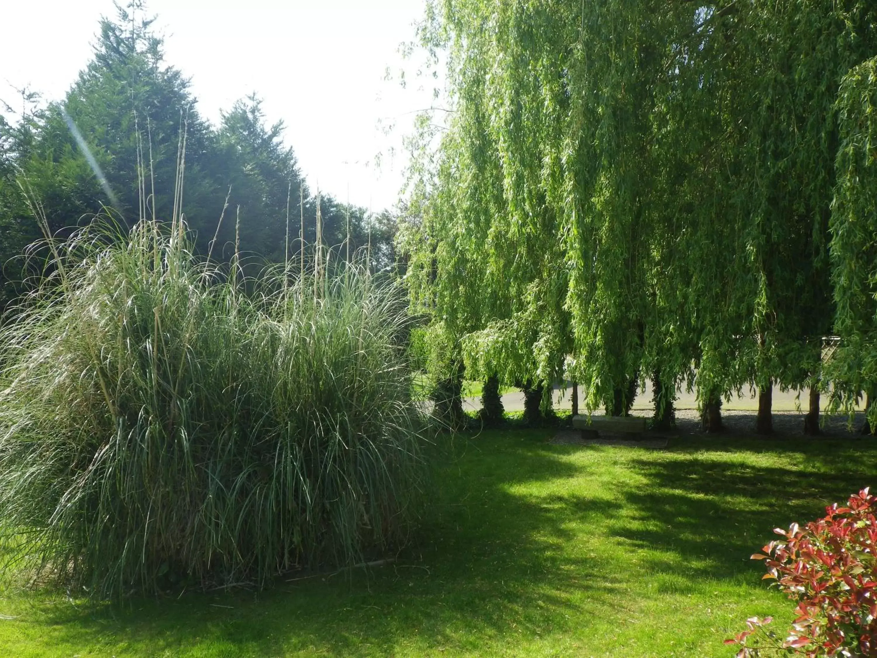 Garden in Ker-Loën