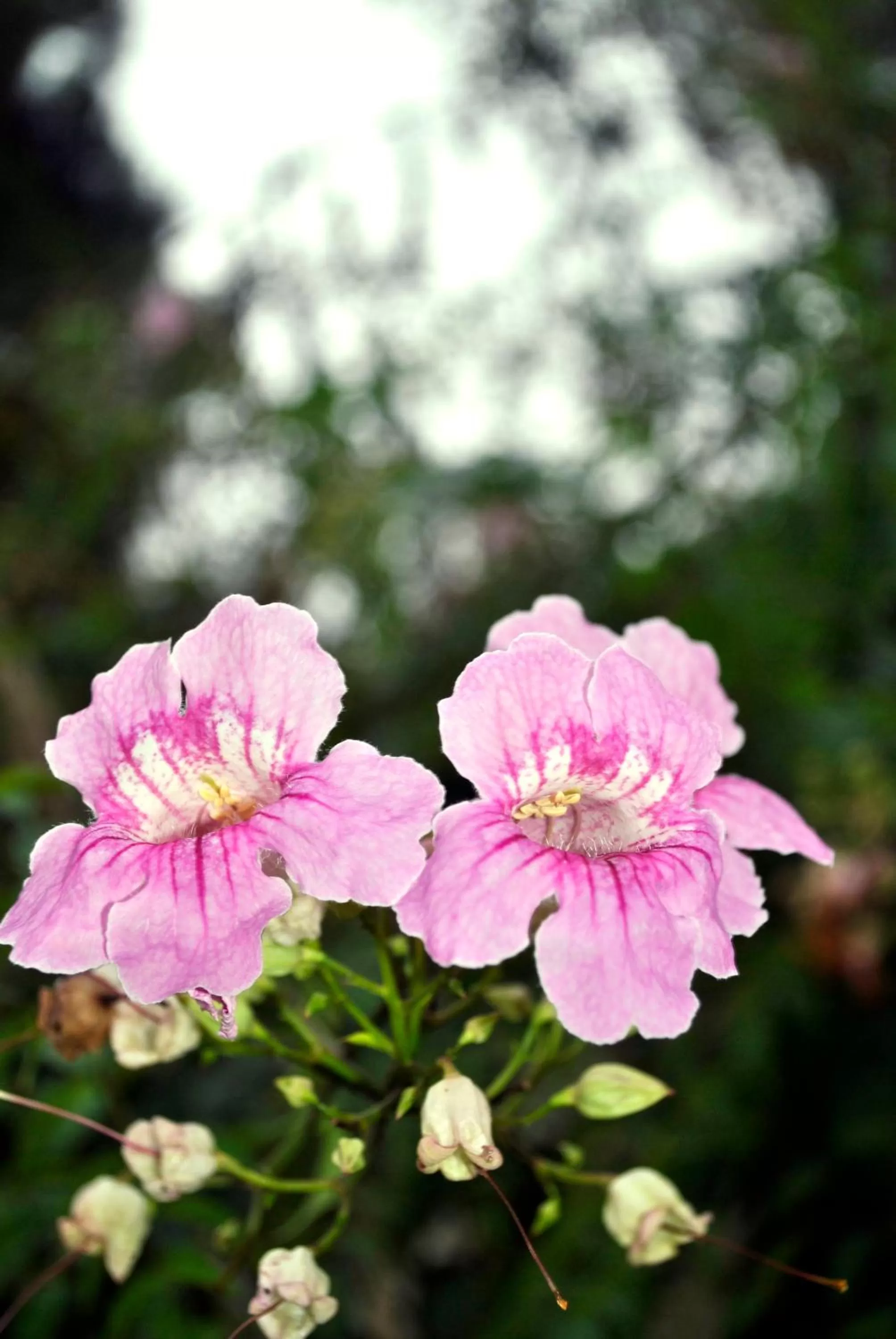 Decorative detail in Parador de Antequera