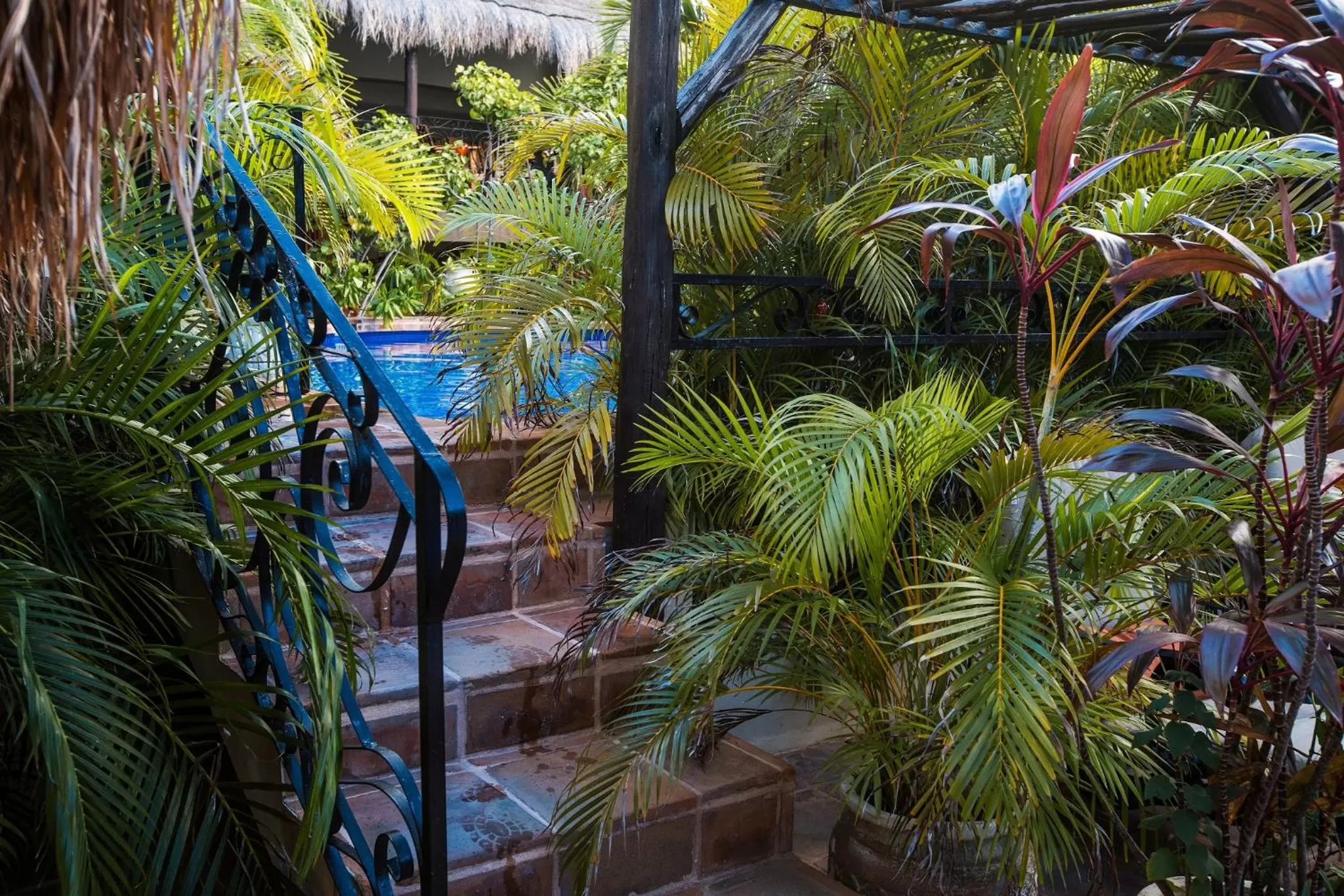 Garden view in La Pasion Colonial Hotel Boutique By Bunik