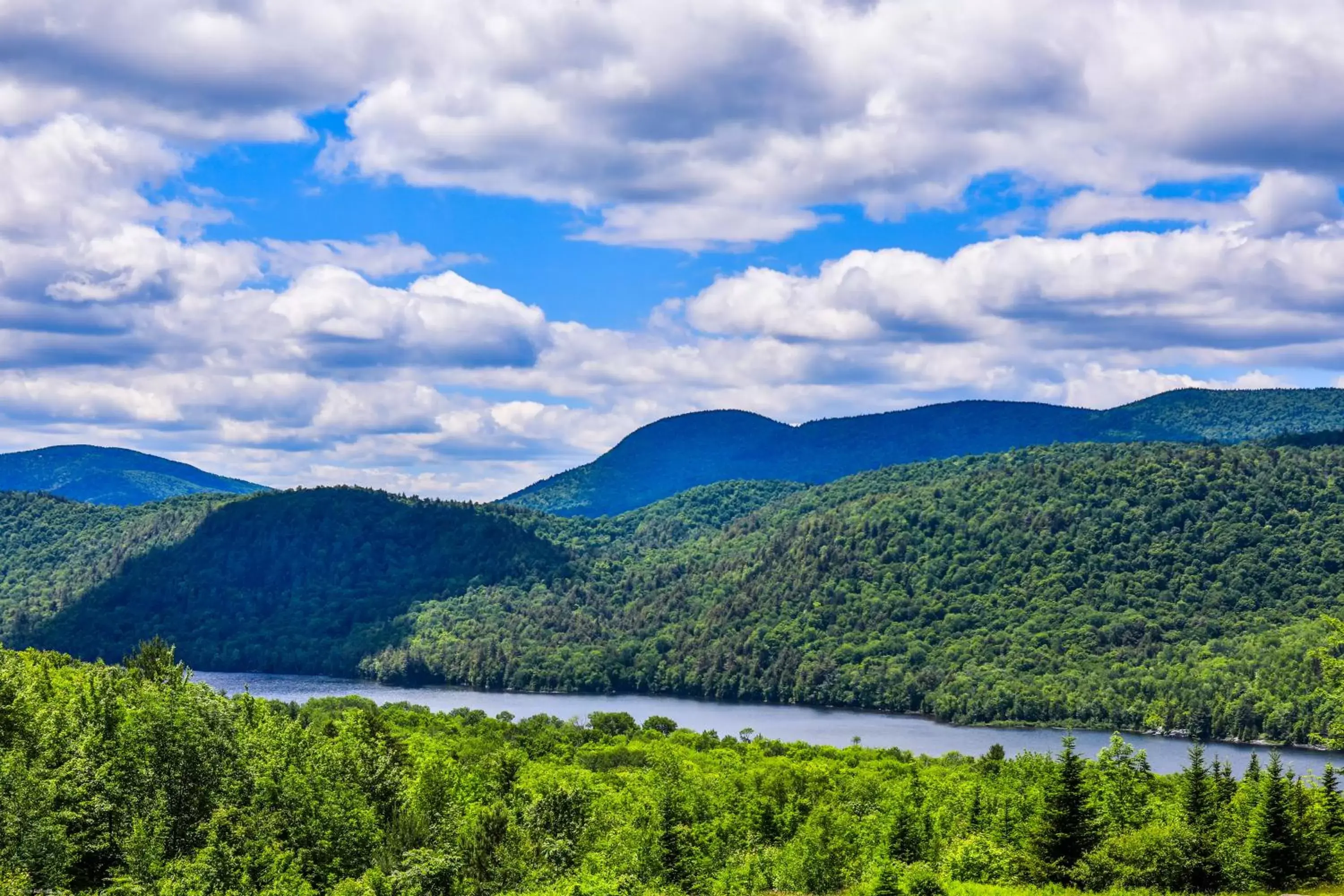 Natural landscape in Garnet Hill Lodge