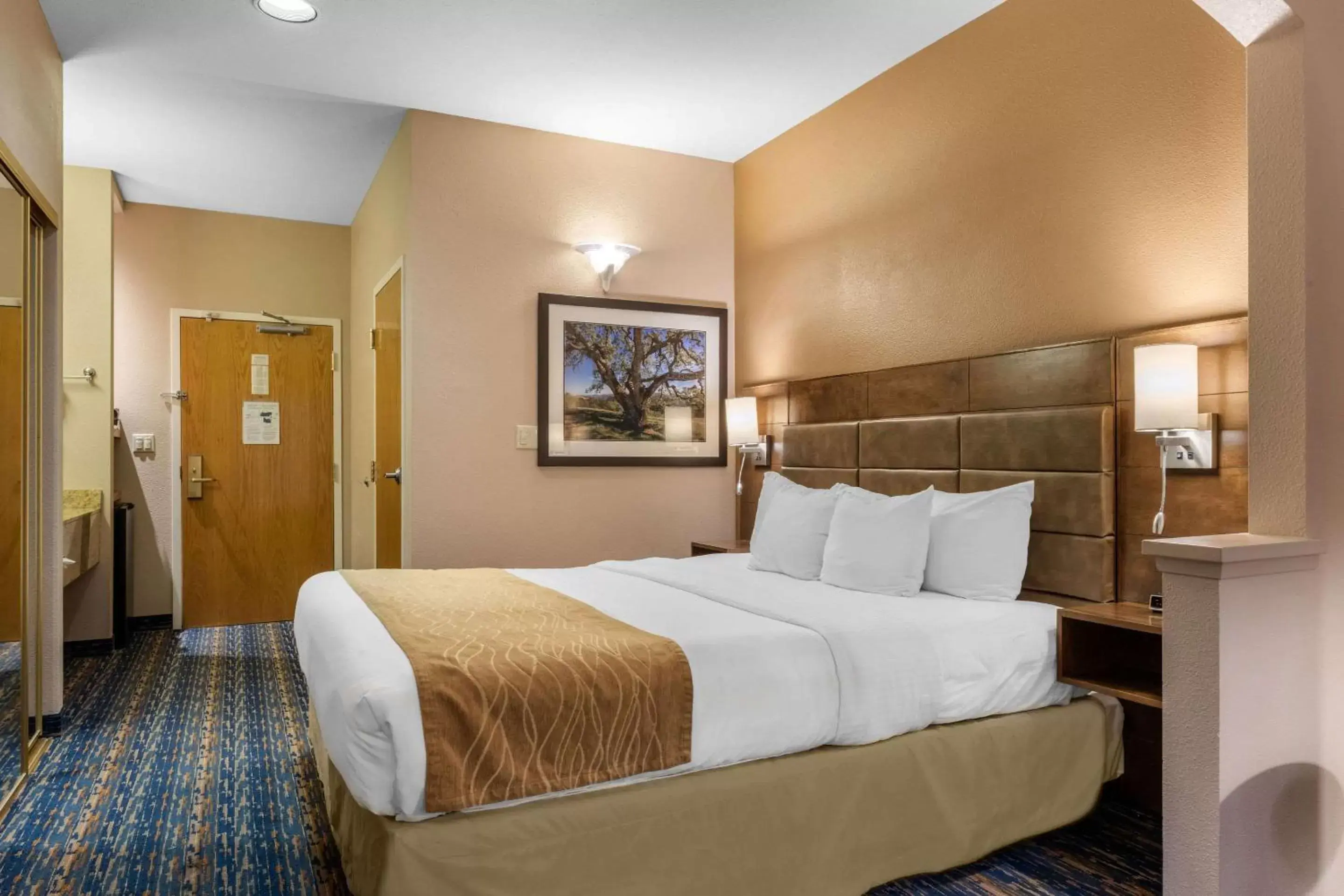 Photo of the whole room, Bed in Comfort Inn South San Jose - Morgan Hill