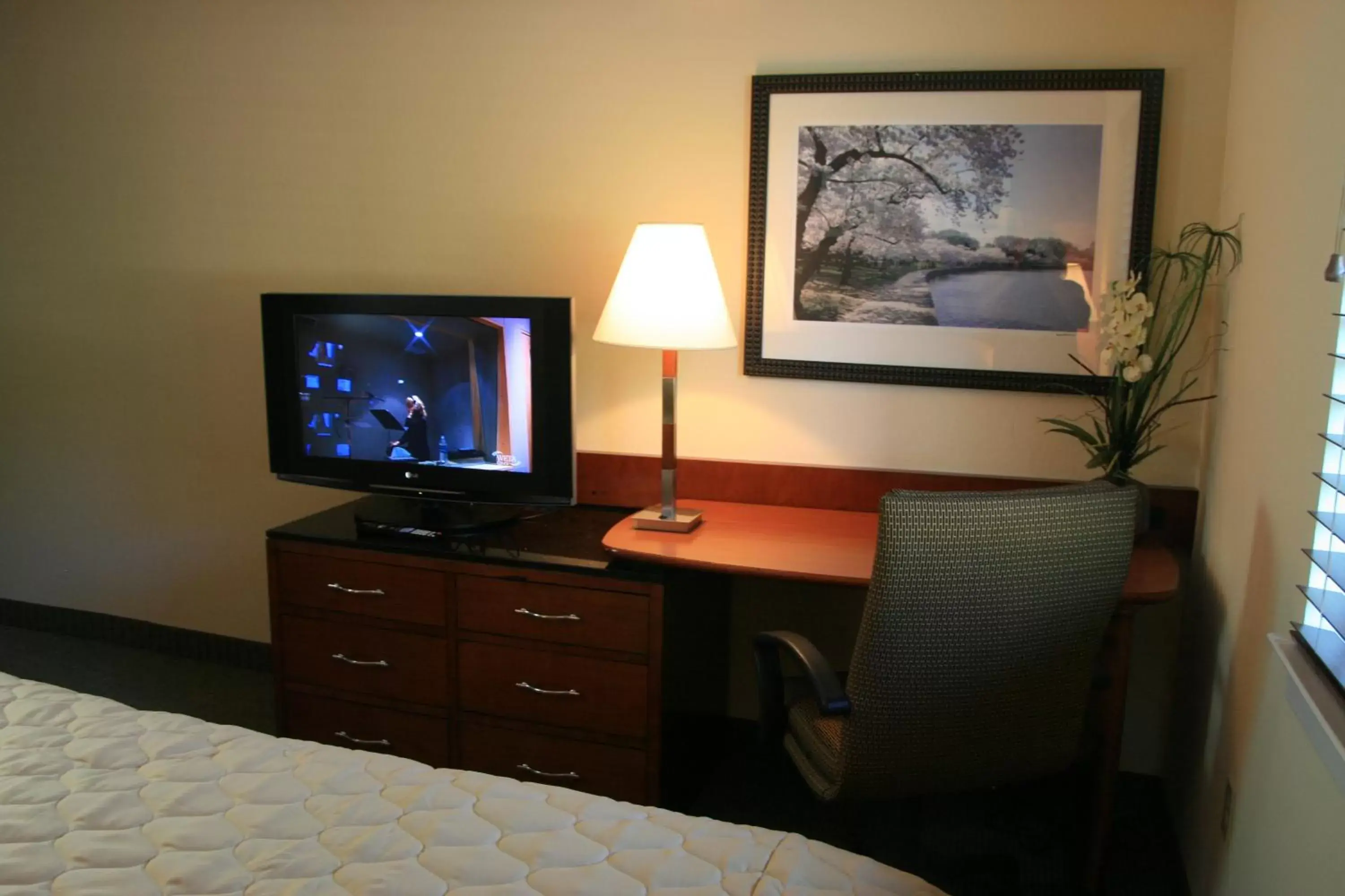 Bedroom, TV/Entertainment Center in Affordable Suites of America Stafford Quantico