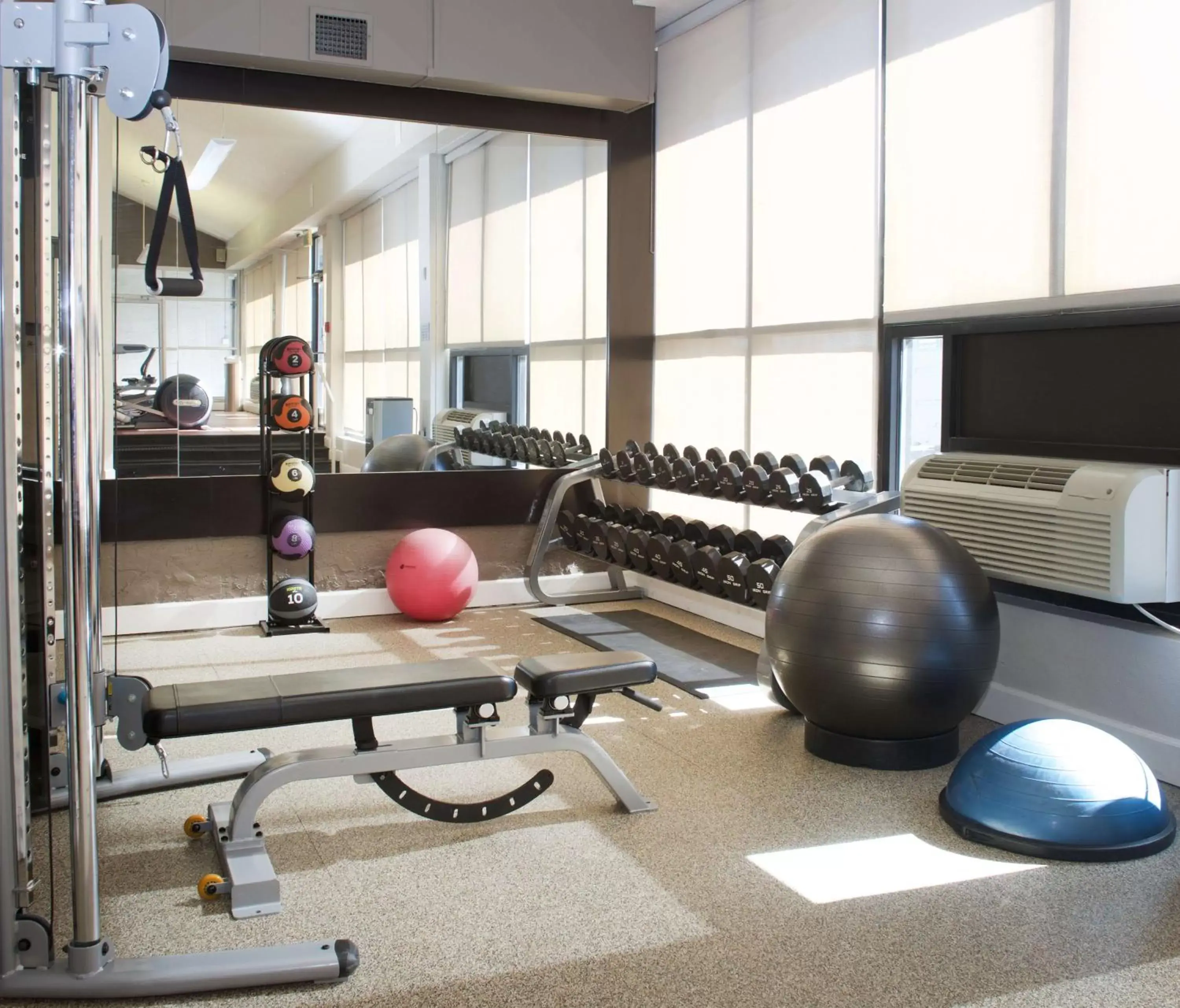 Fitness centre/facilities, Fitness Center/Facilities in Embassy Suites by Hilton Denver Tech Center North
