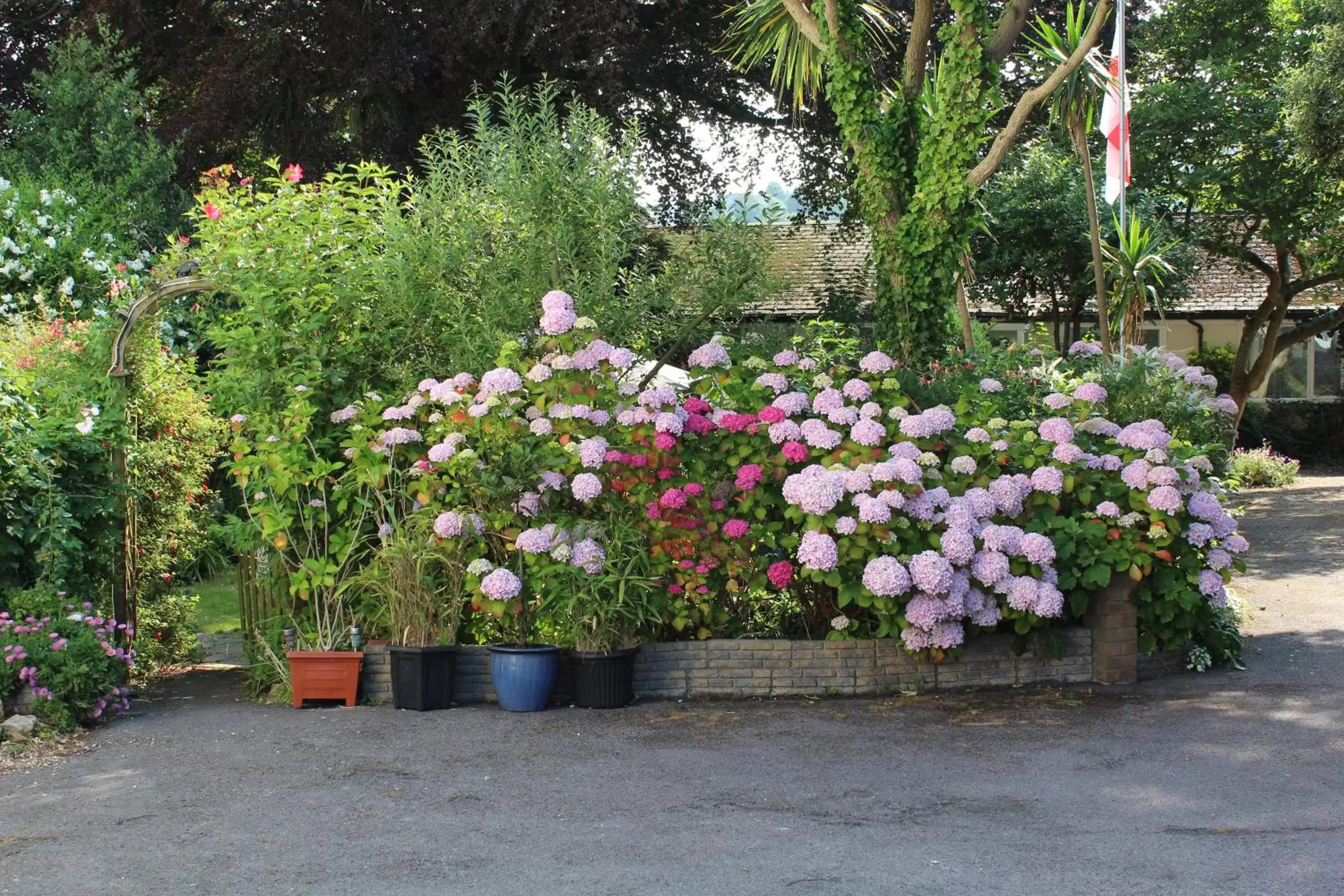 Garden in The Darnley Hotel