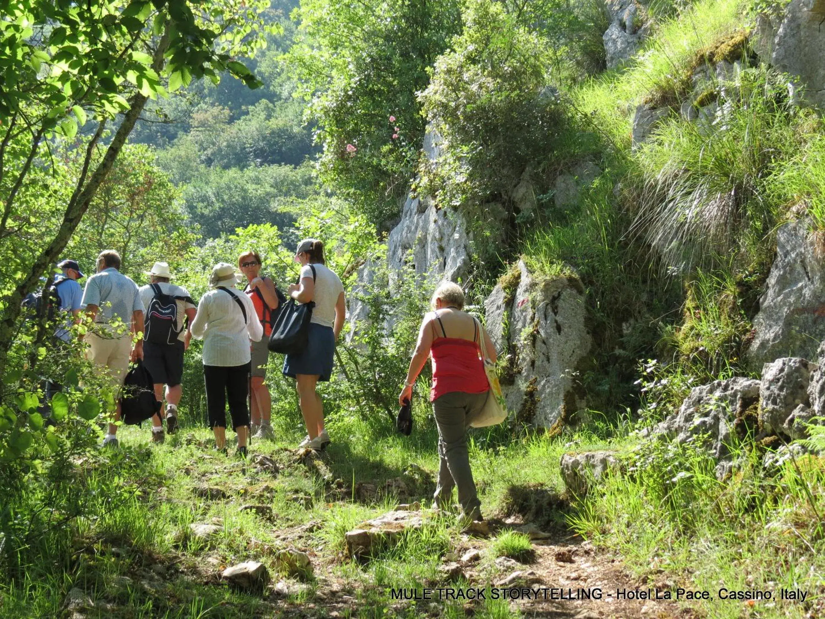 Hiking in Hotel La Pace - Experience