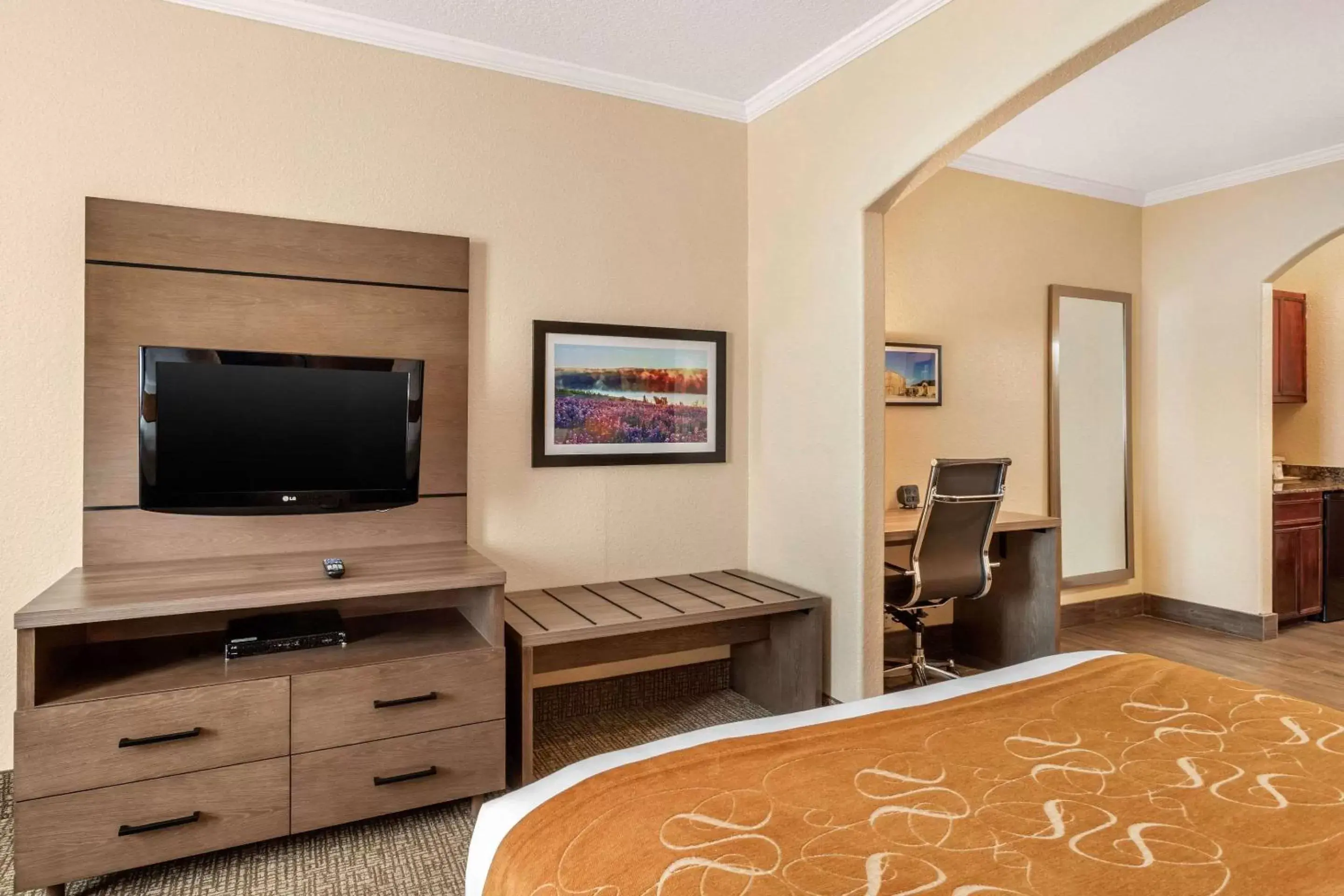 Photo of the whole room, TV/Entertainment Center in Comfort Suites Baytown I – 10