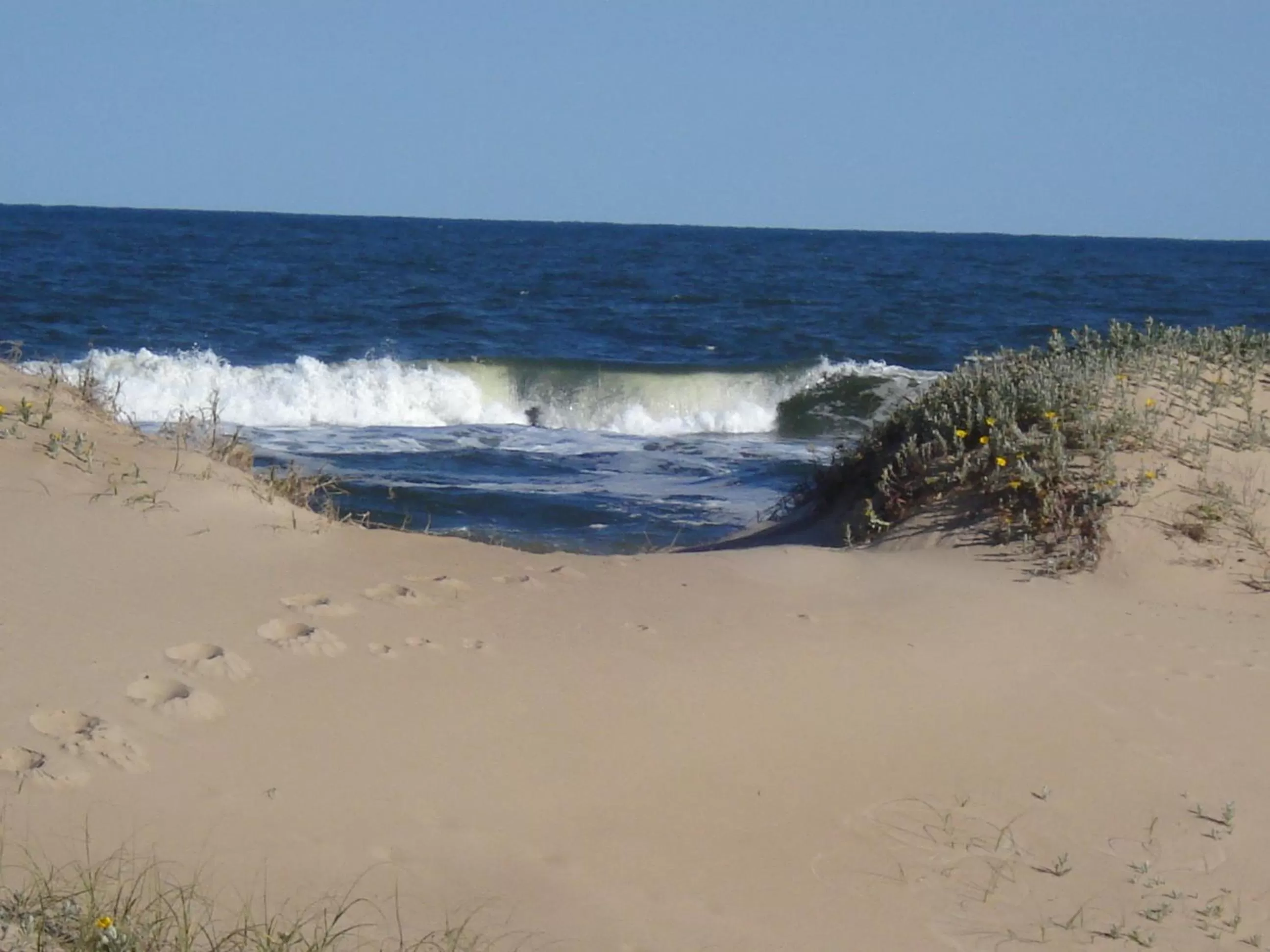 Beach in BDA Hotel & Spa