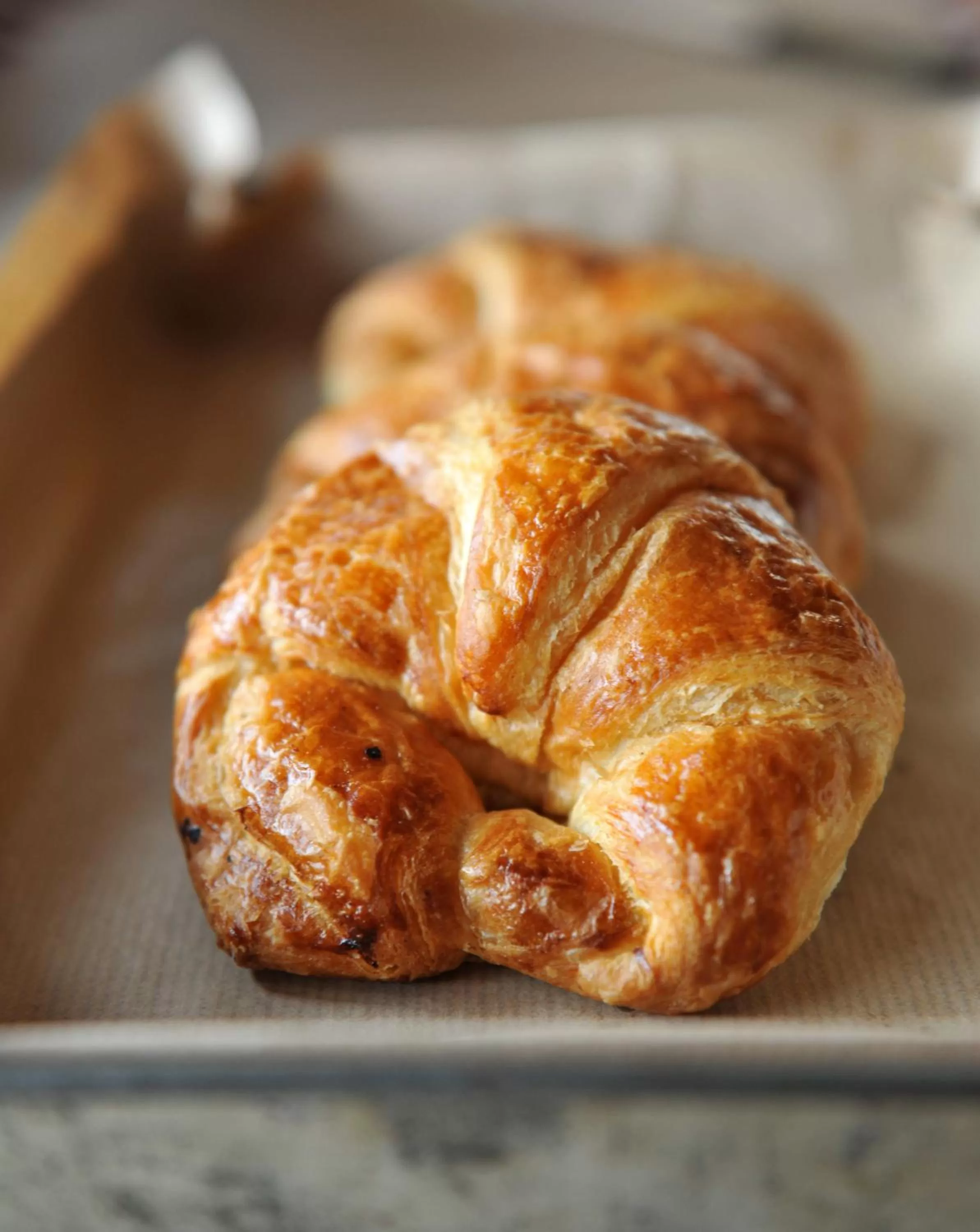 Food and drinks in The Originals Annemasse Sud - Porte de Genève