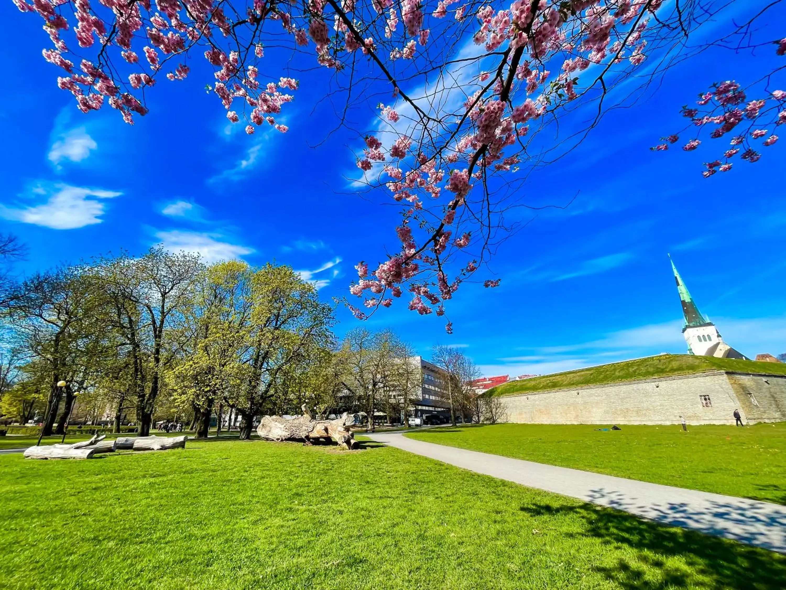 Natural landscape in Kalev Spa Hotel & Waterpark