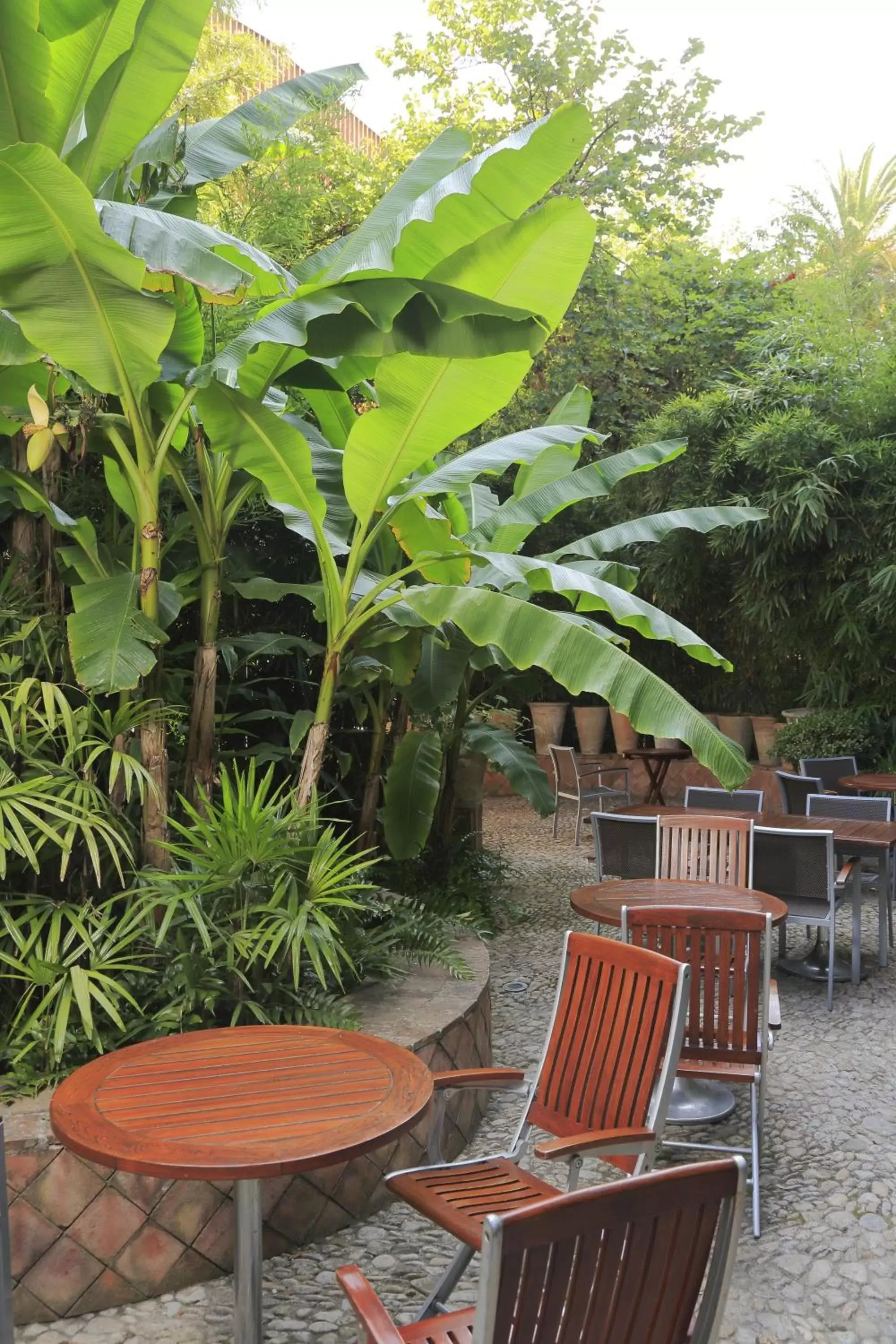 Patio in Hotel Napoléon