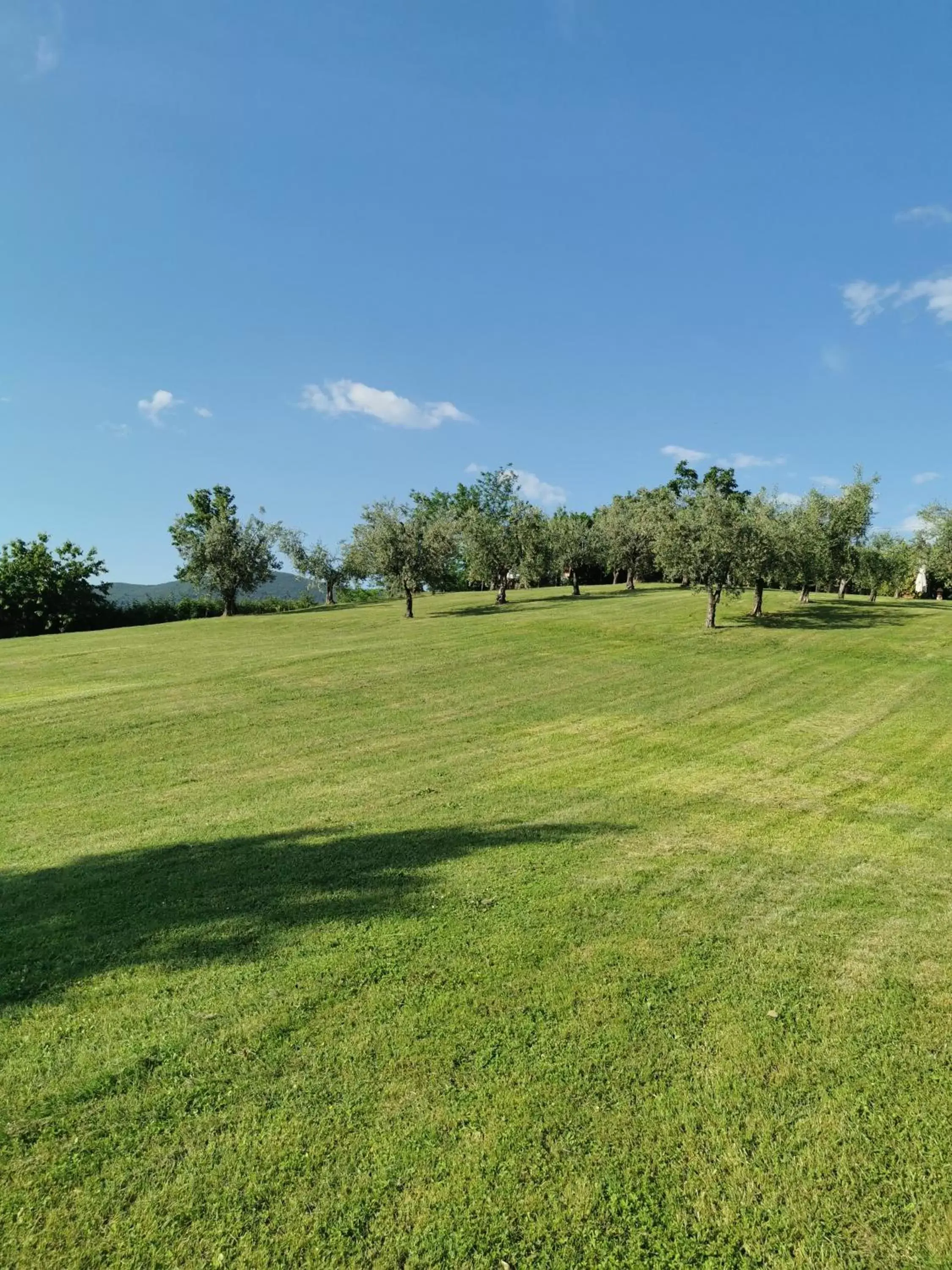 Garden in Casale Druida