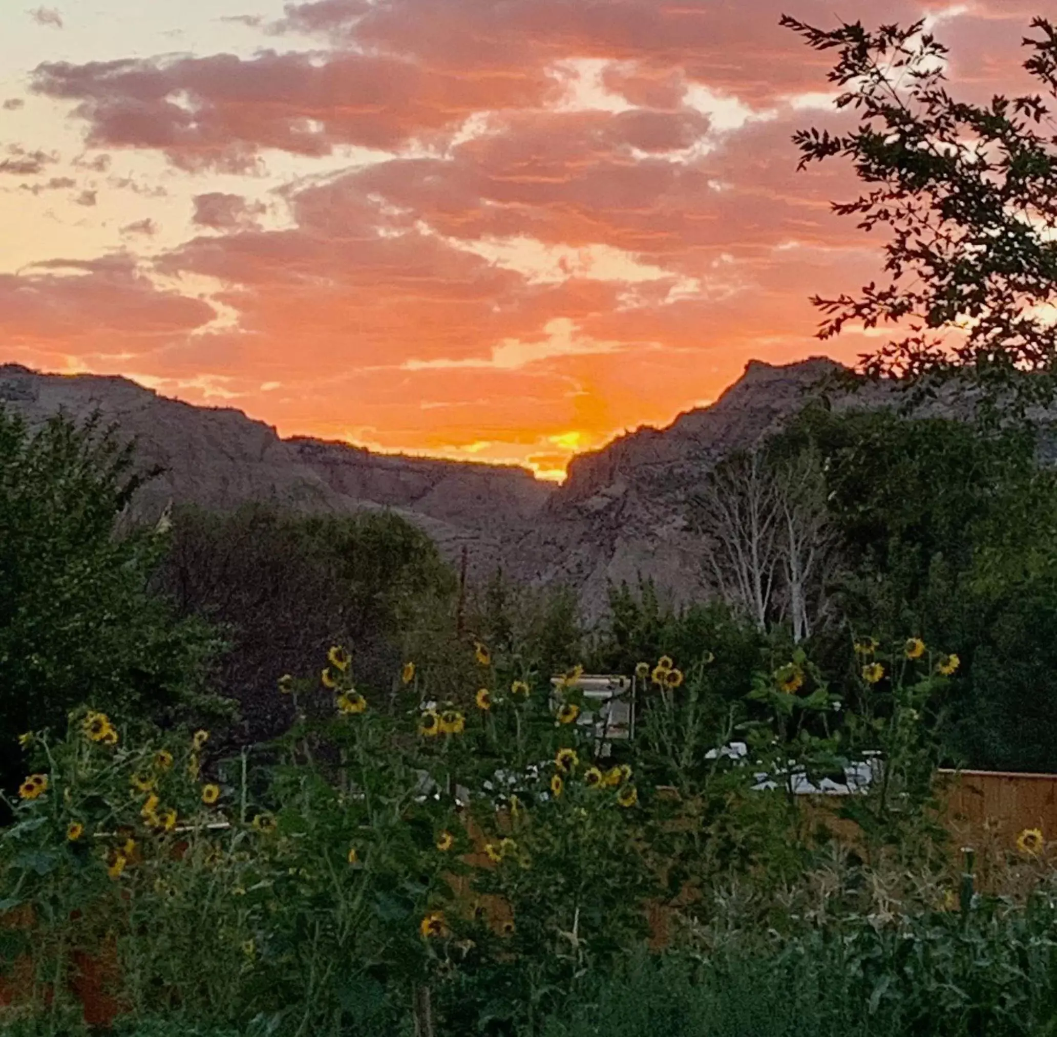 Natural Landscape in The Loubird Inn