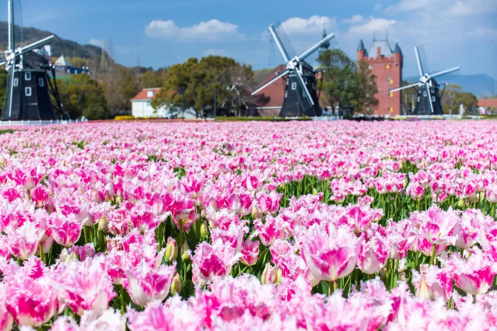 Day in Huis Ten Bosch Hotel Amsterdam