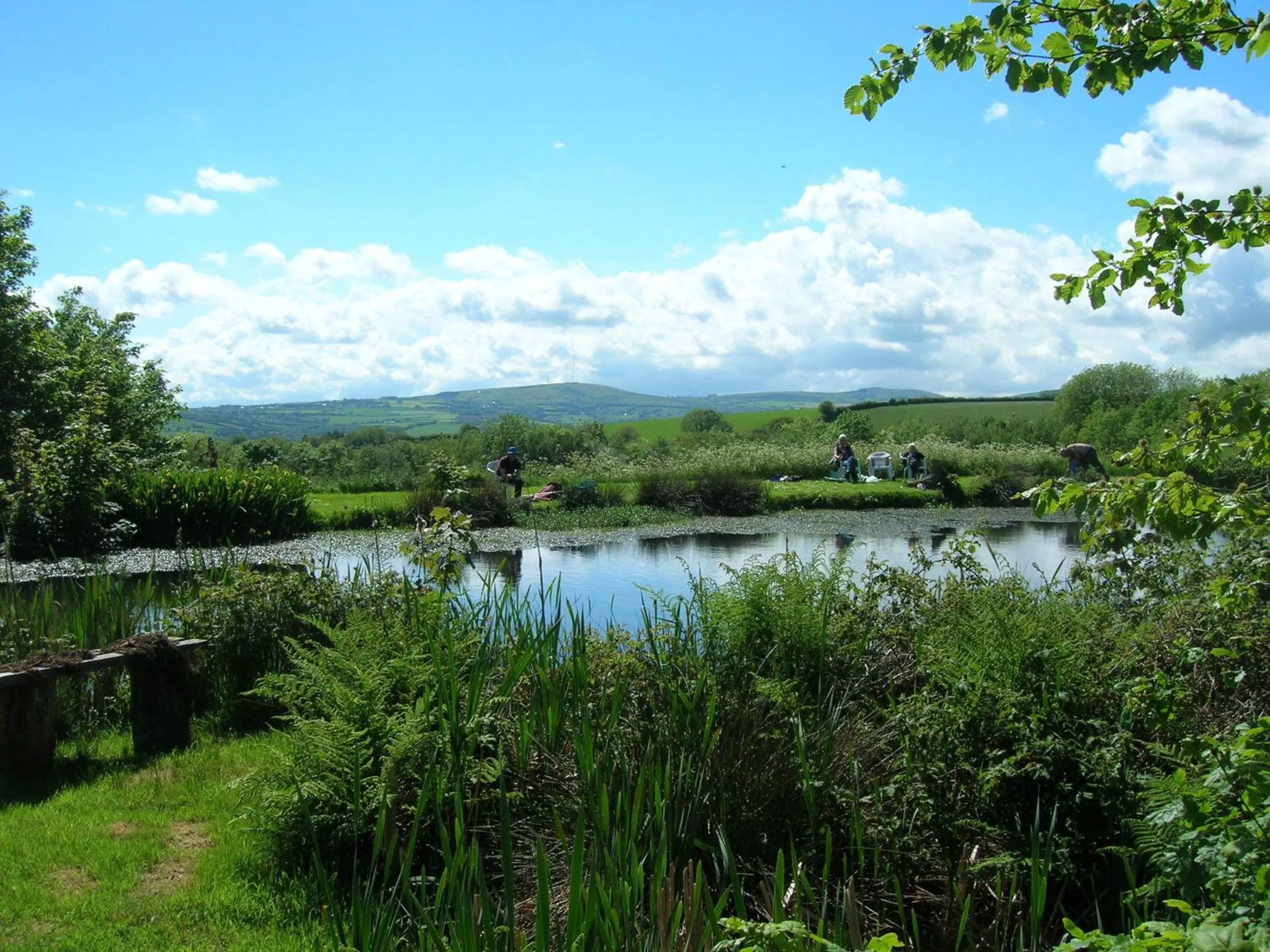 Day in Polhilsa Farm