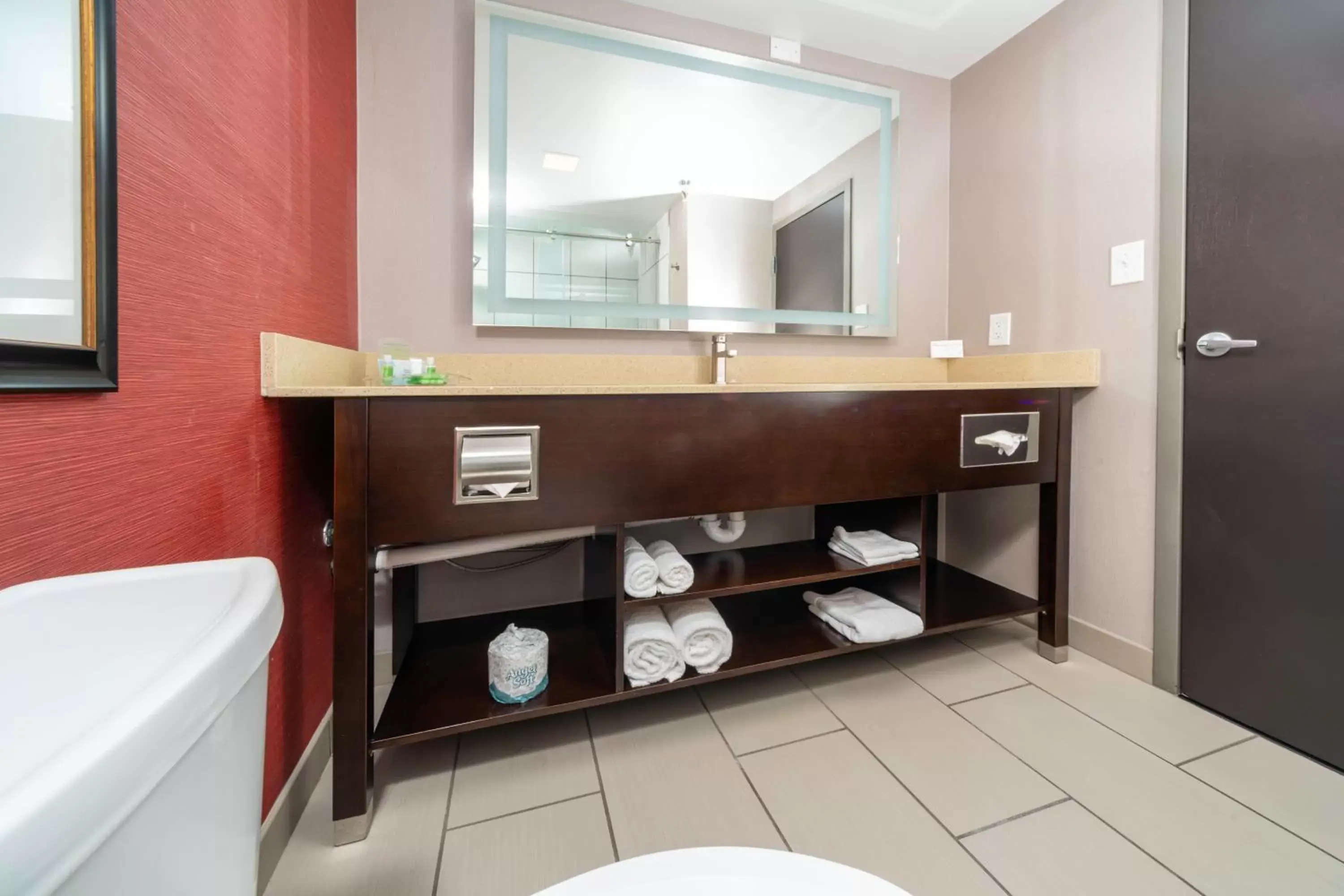 Bathroom in Holiday Inn Louisville East - Hurstbourne, an IHG Hotel