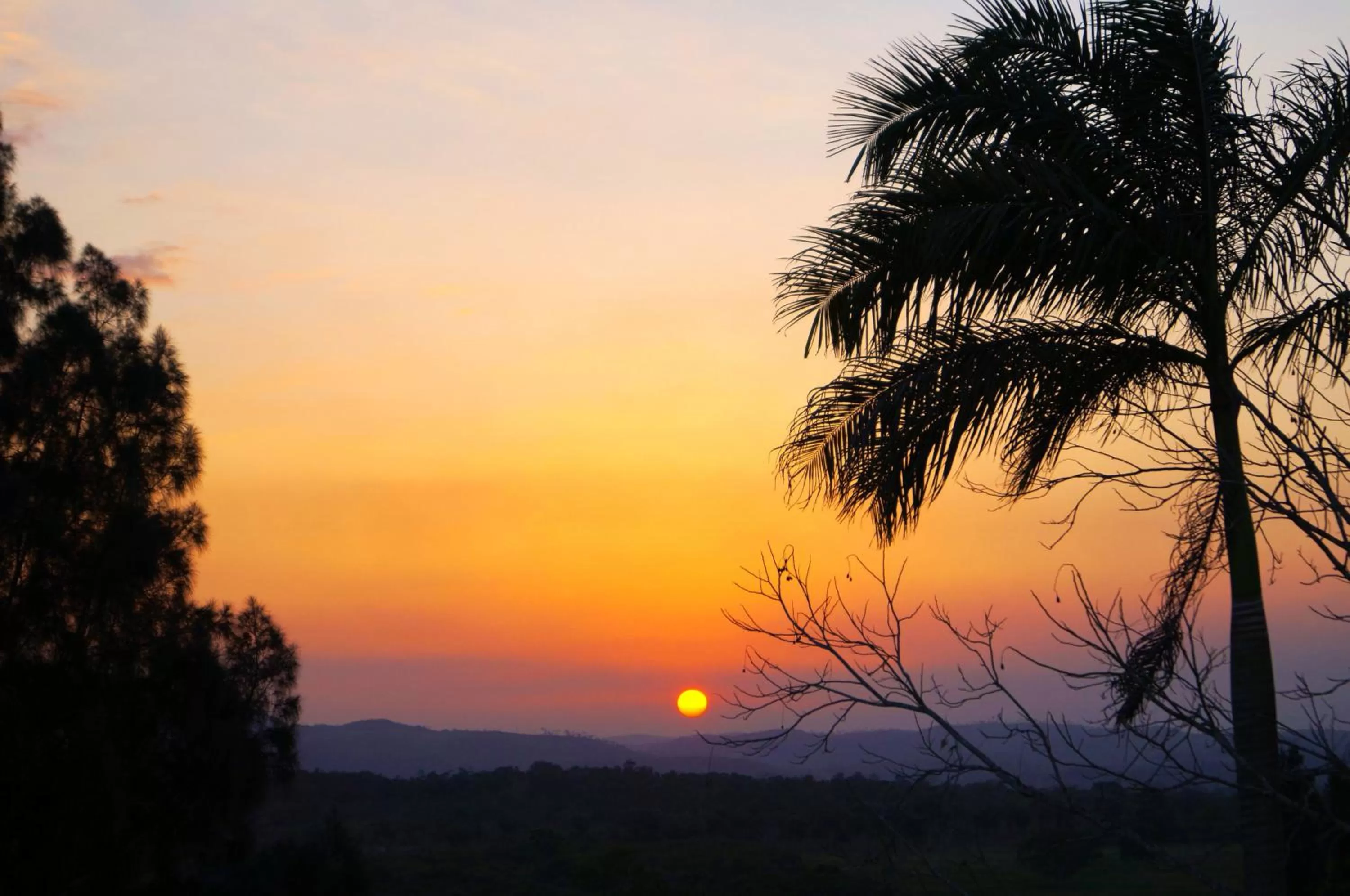 Natural landscape in Rumors Resort Hotel