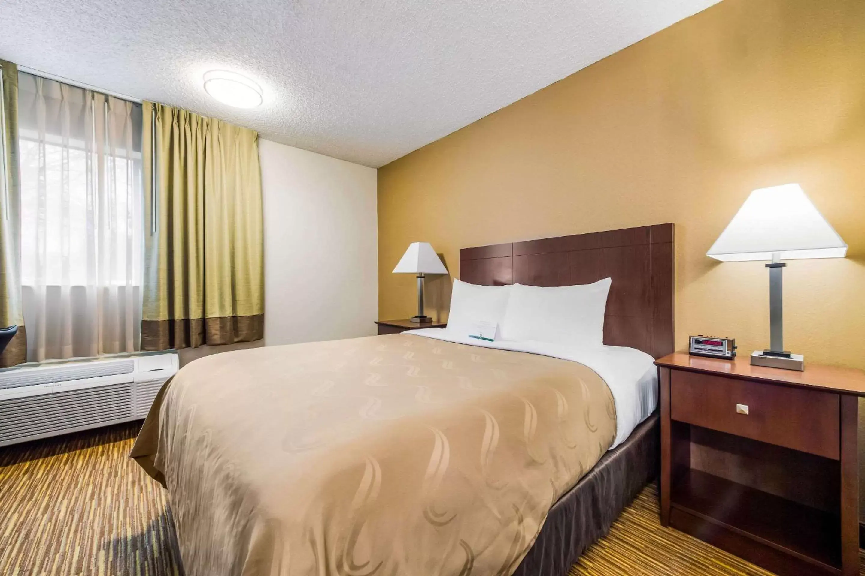 Photo of the whole room, Bed in Quality Inn & Suites Lacey I-5