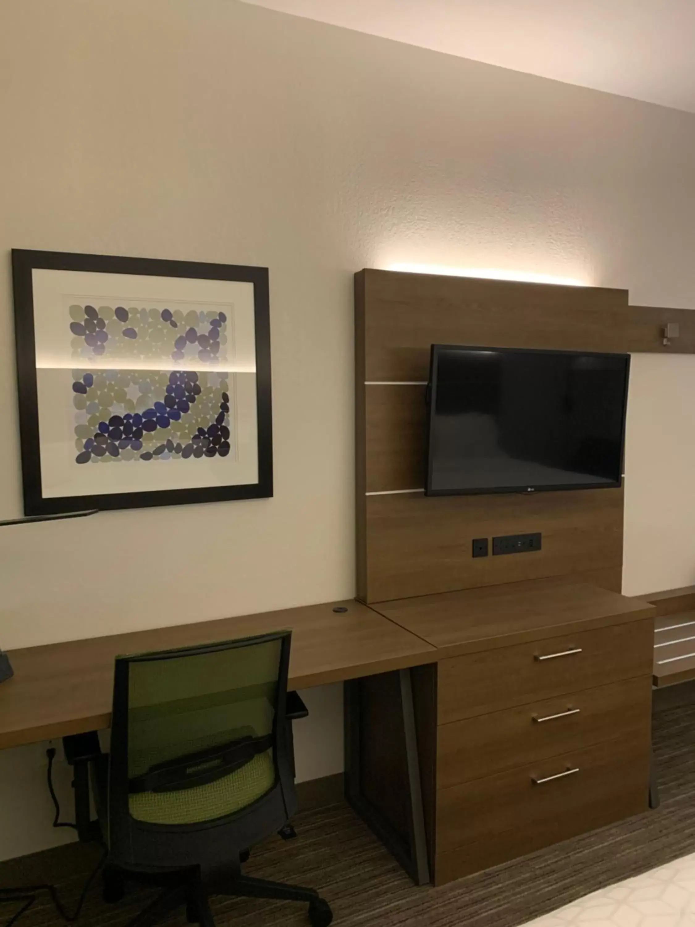 TV/Entertainment Center in Holiday Inn Express Hotel & Suites Franklin, an IHG Hotel