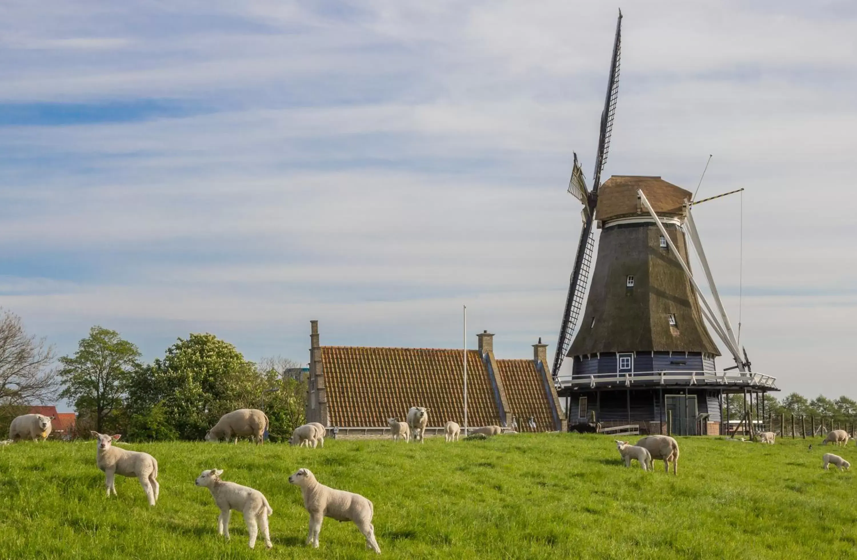 Nearby landmark, Other Animals in Hotel De Koepoort