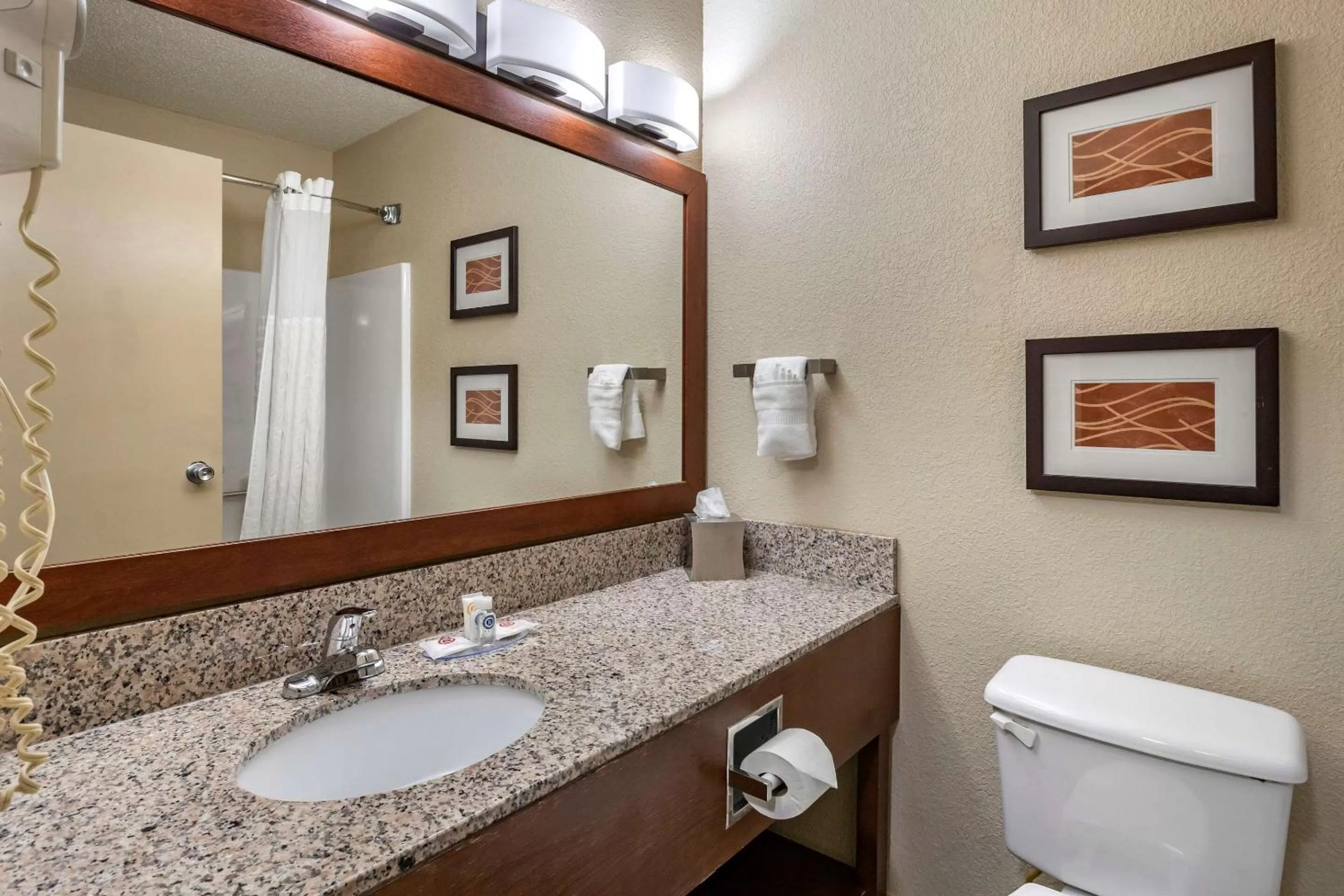 Bathroom in Comfort Inn Moline - Quad Cities