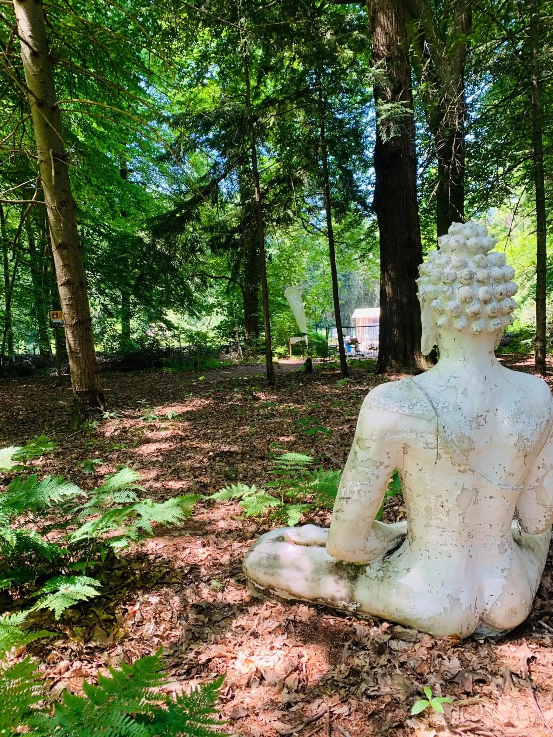 Natural landscape in Hotel Landgoed Zonheuvel