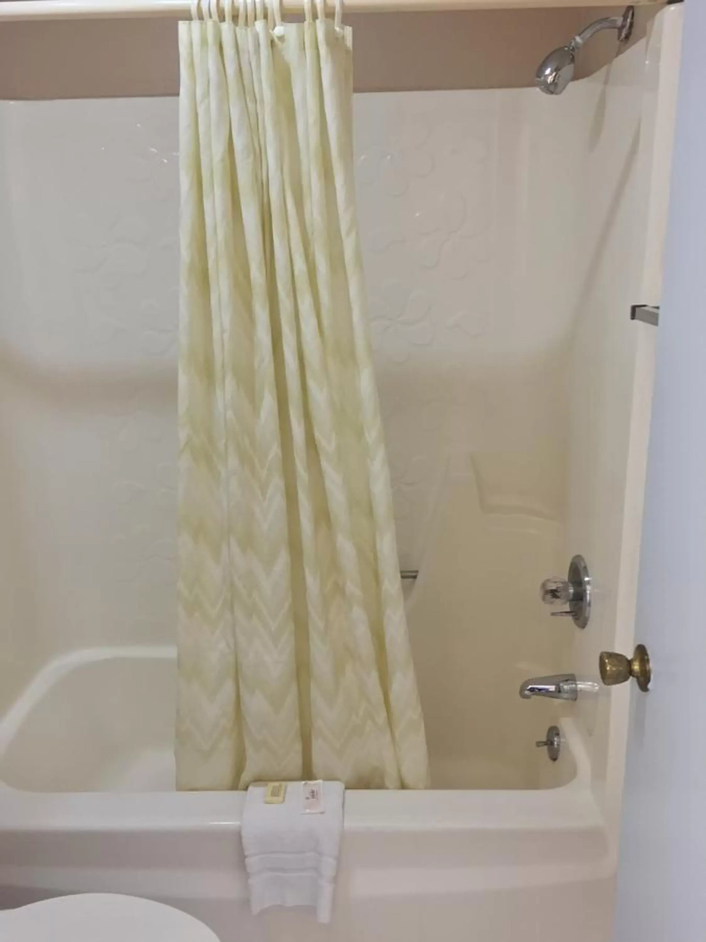 Shower, Bathroom in Budget Inn Motel