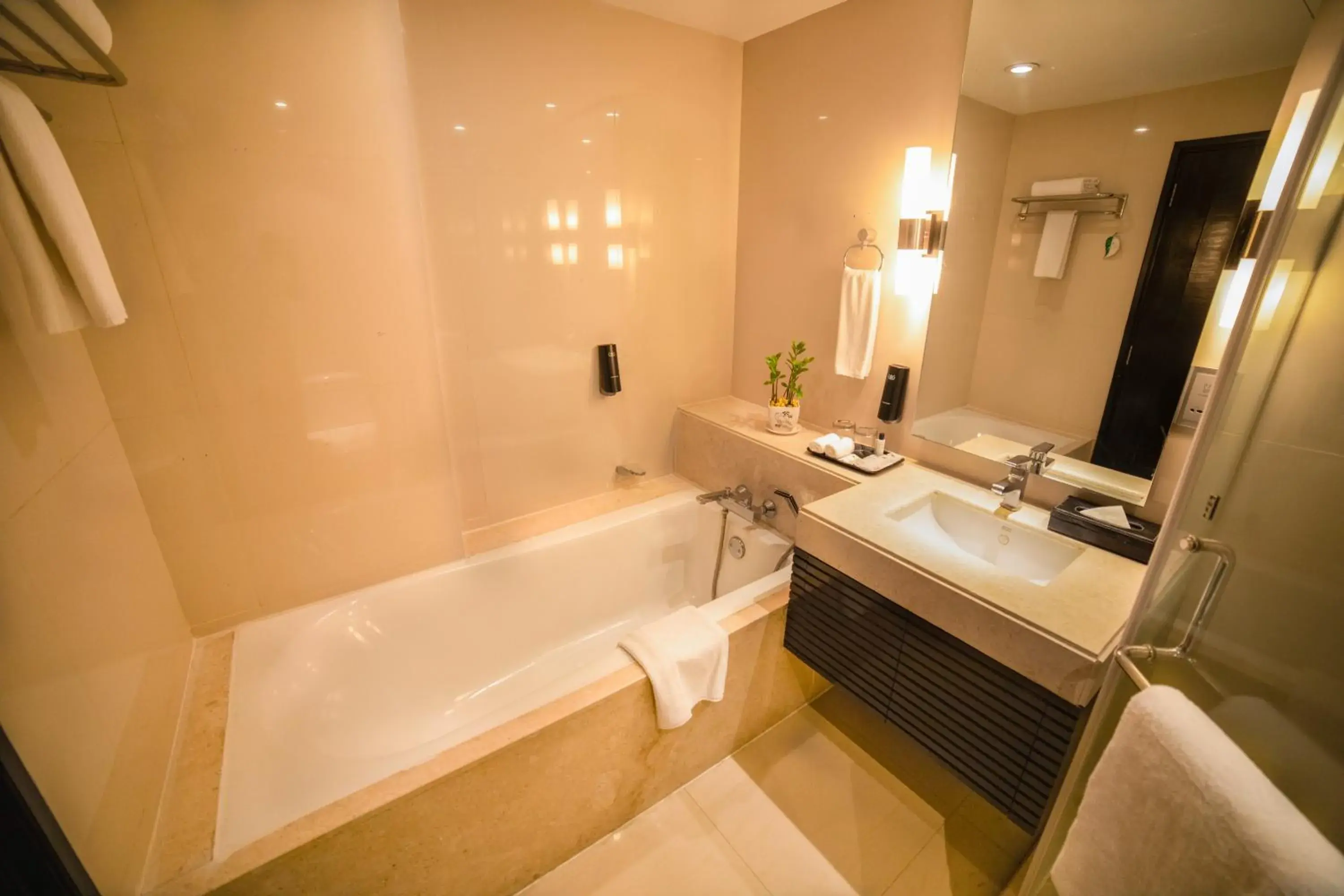 Bathroom in Somerset Greenways Chennai