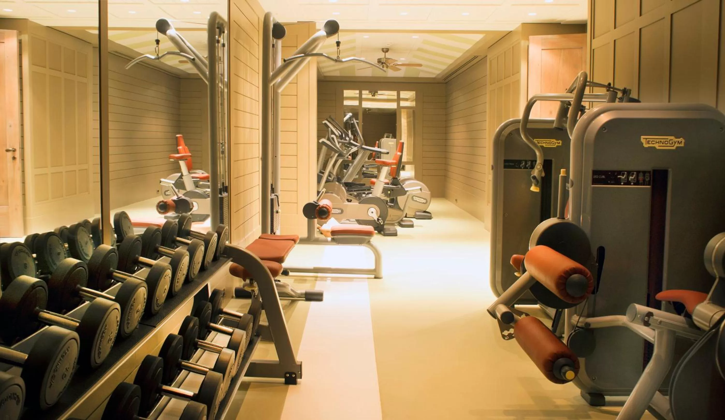 Spa and wellness centre/facilities in Alavya