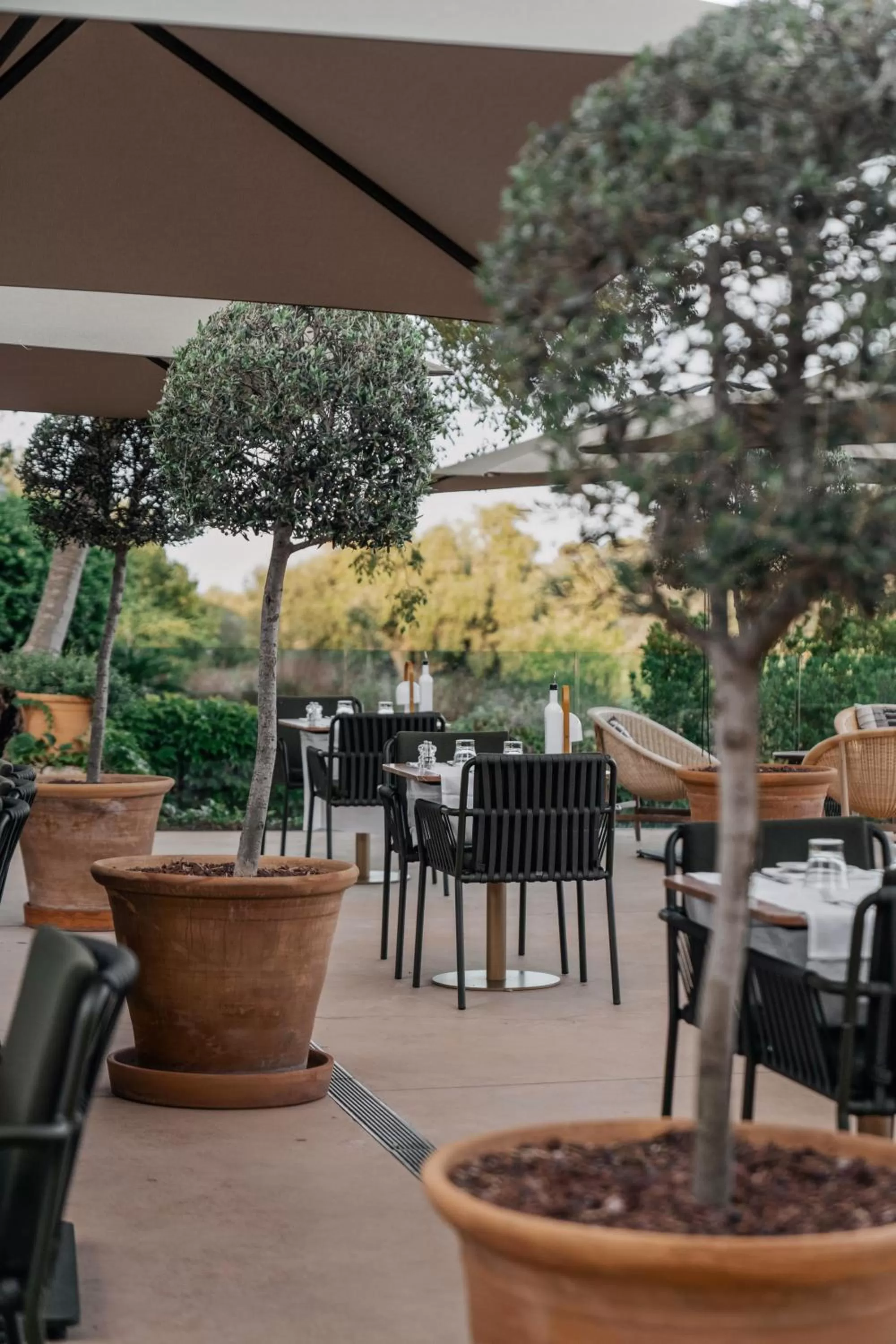 Restaurant/places to eat in Son Brull Hotel & Spa - Relais & Chateaux