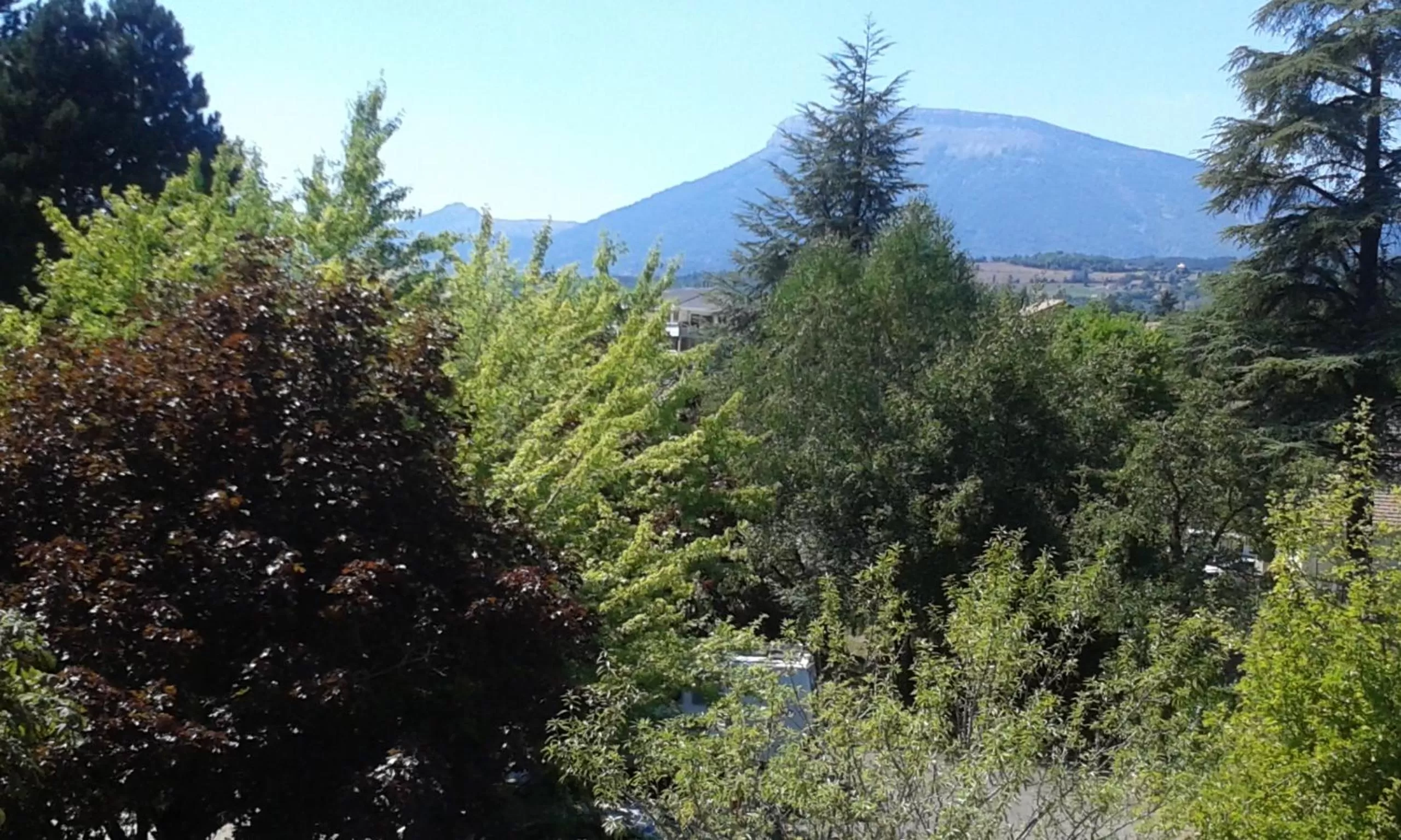 Summer, Natural Landscape in Hôtel Restaurant Le Pavillon