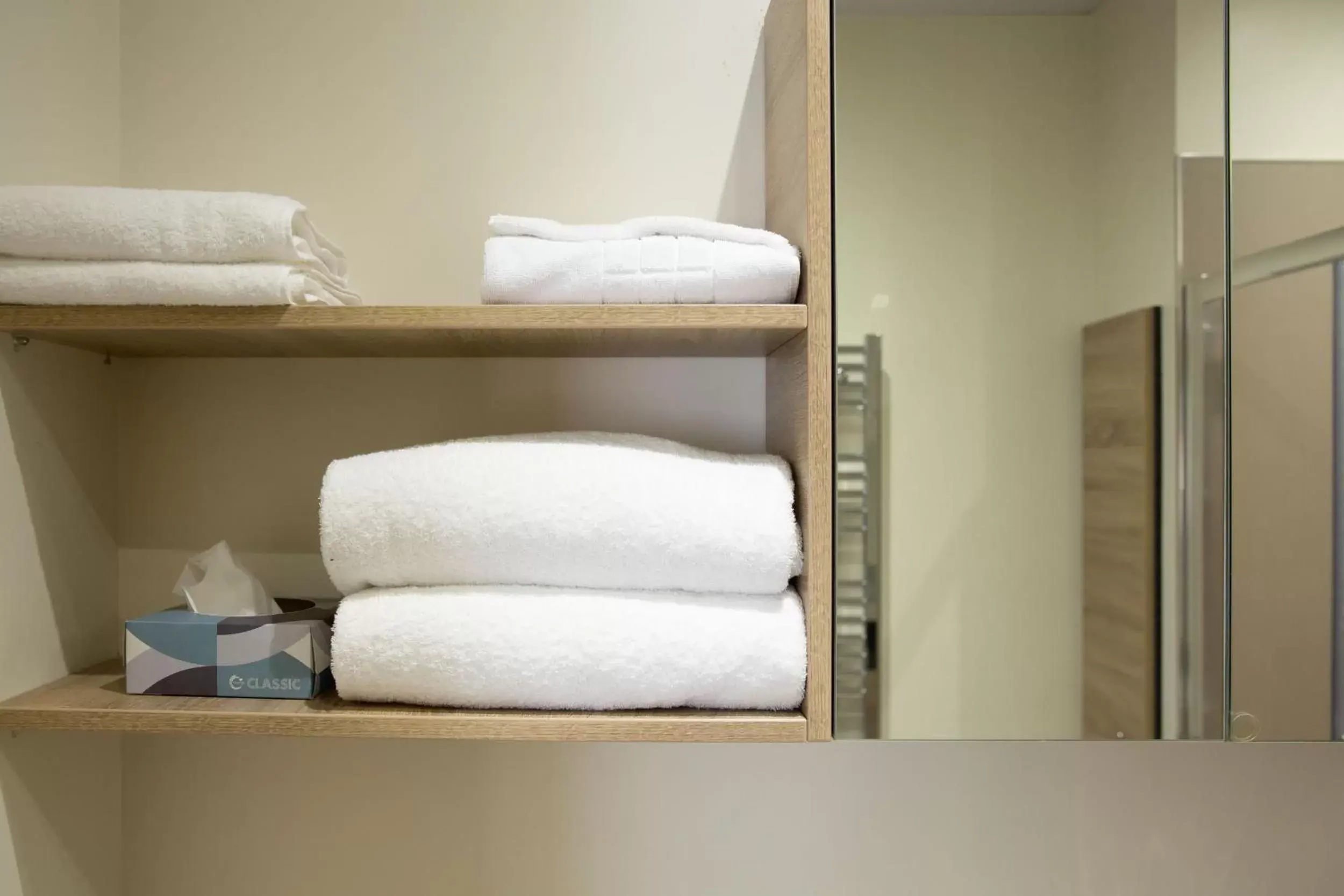 Bathroom, Bunk Bed in Queens Head Hotel