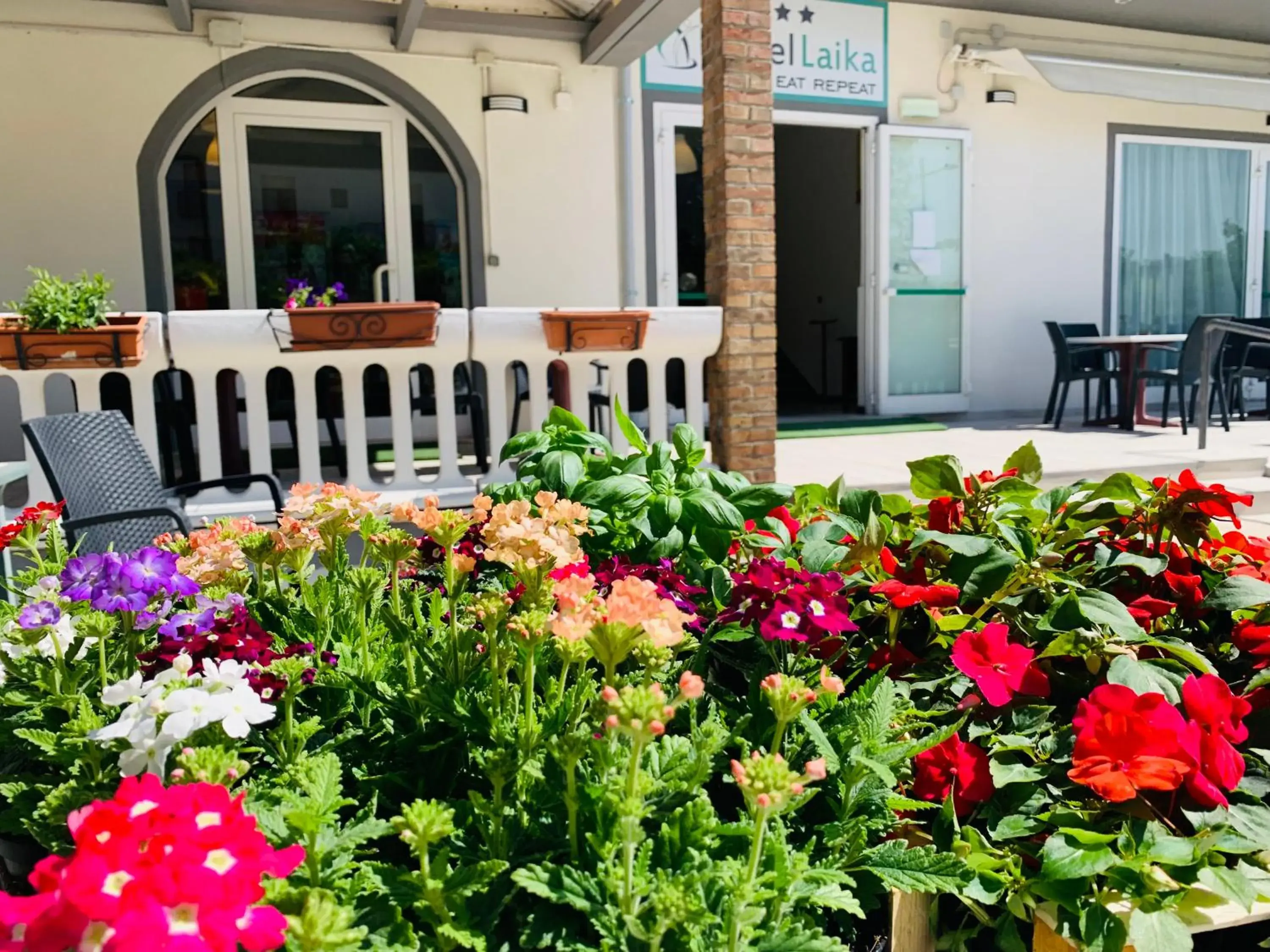 Patio in Hotel Laika