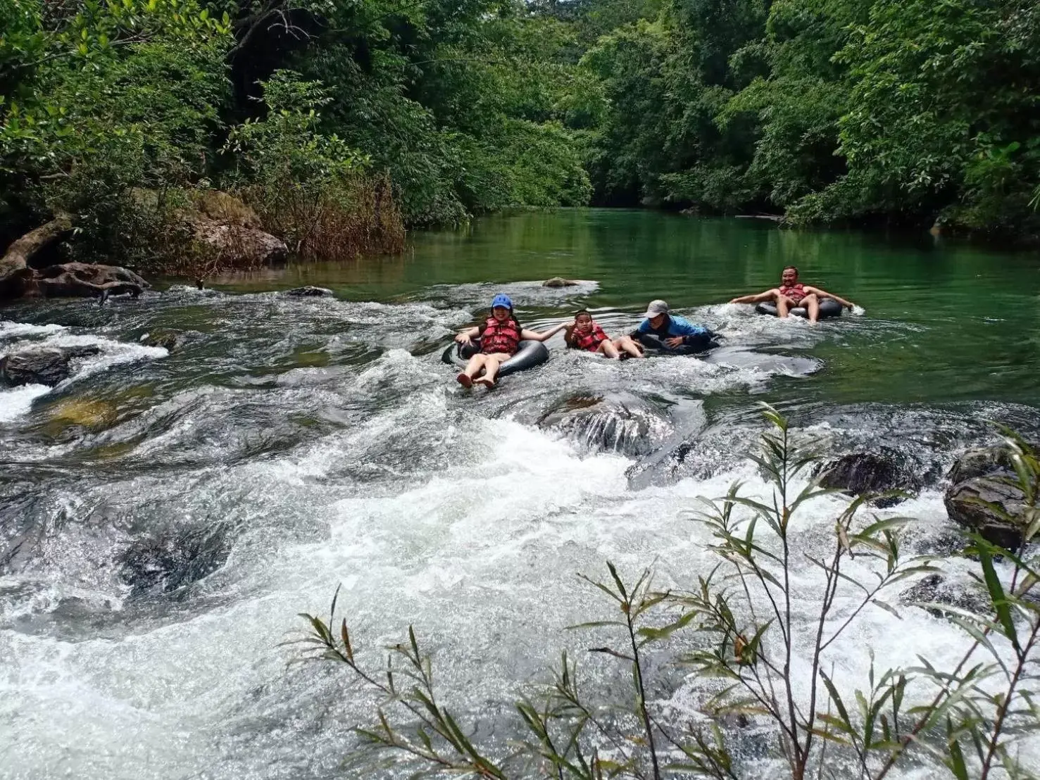 Other Activities in Khaosok Rainforest Resort