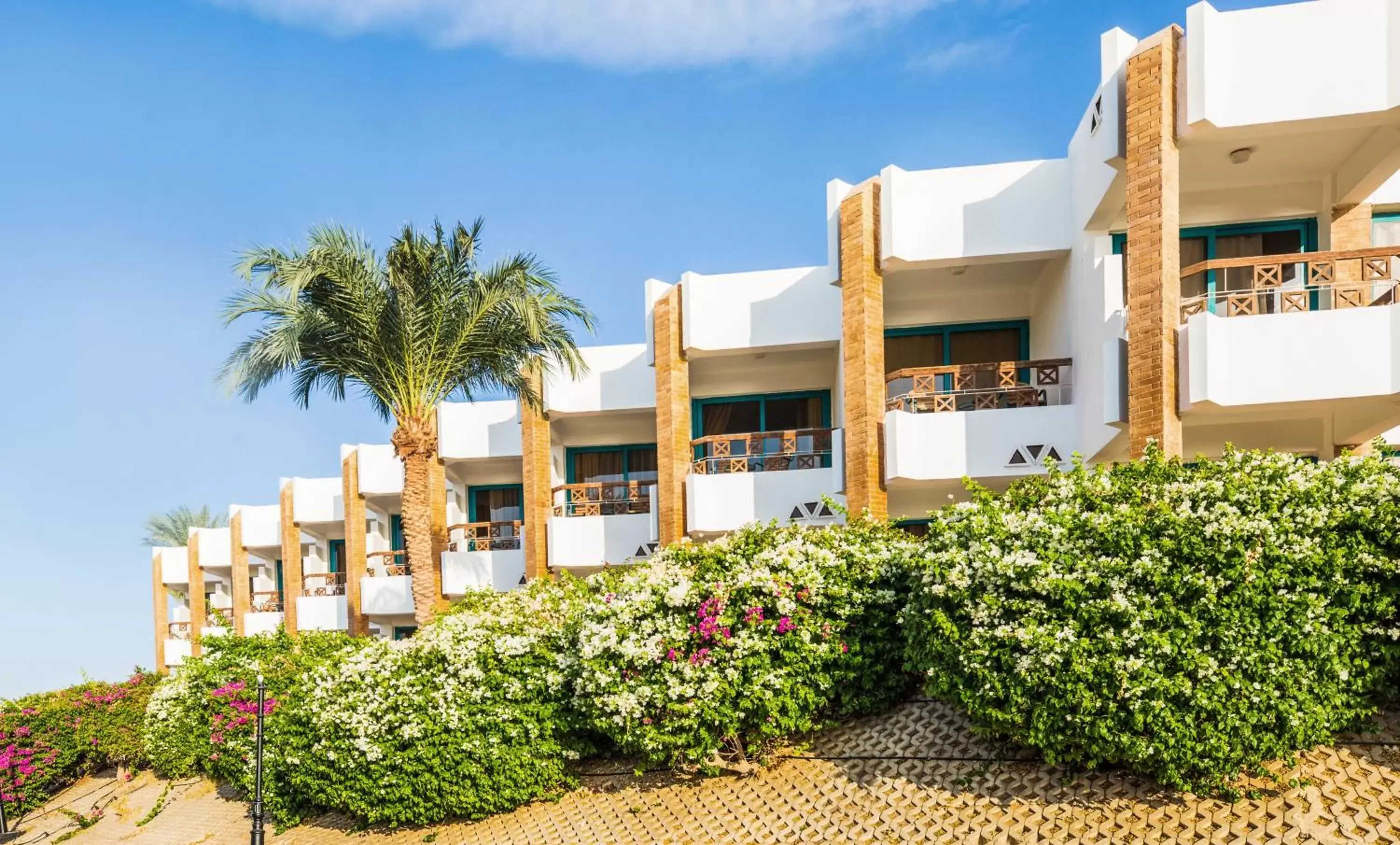 Garden view, Property Building in Pyramisa Beach Resort Sharm El Sheikh