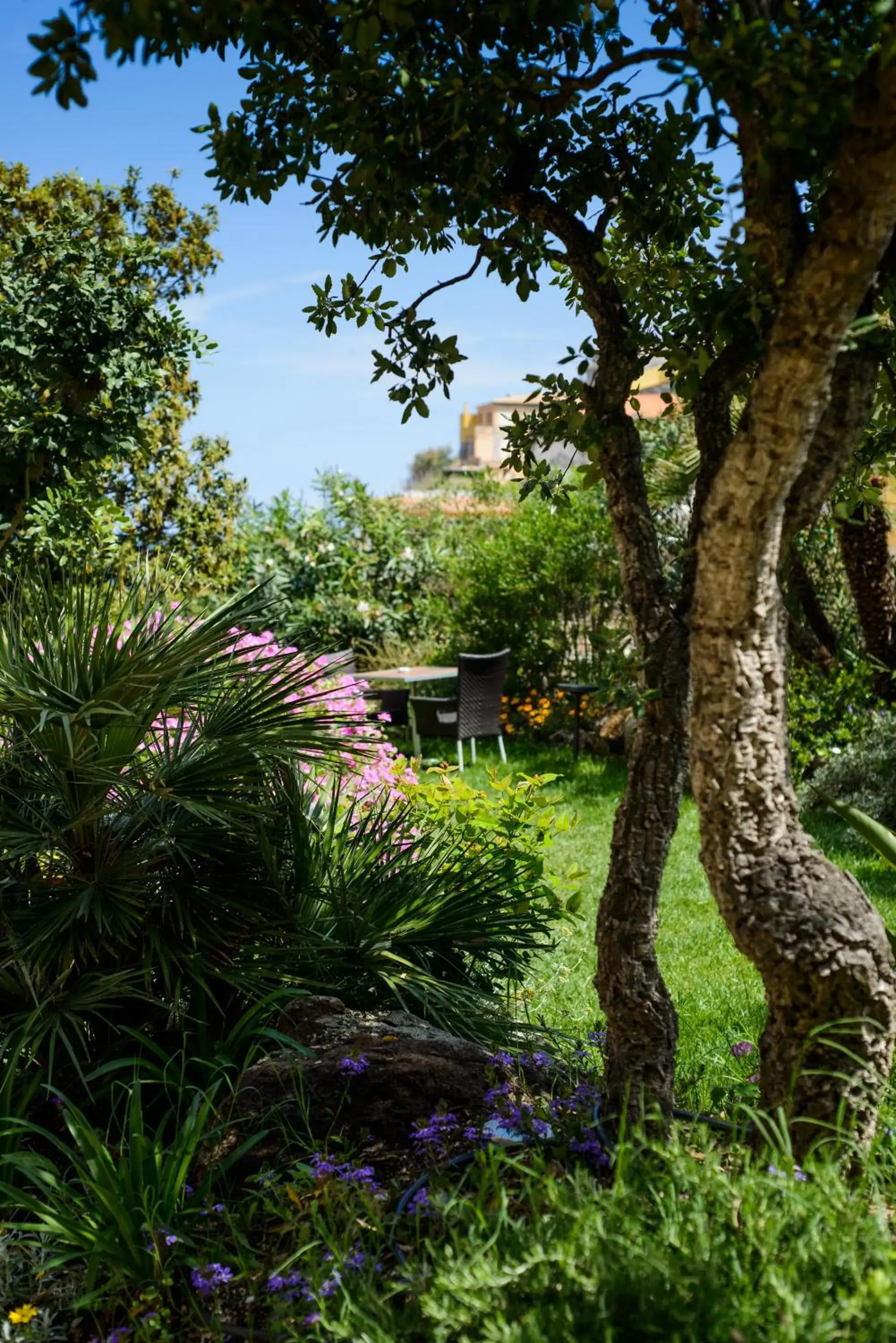 Garden in Hotel & SPA Riviera Castelsardo