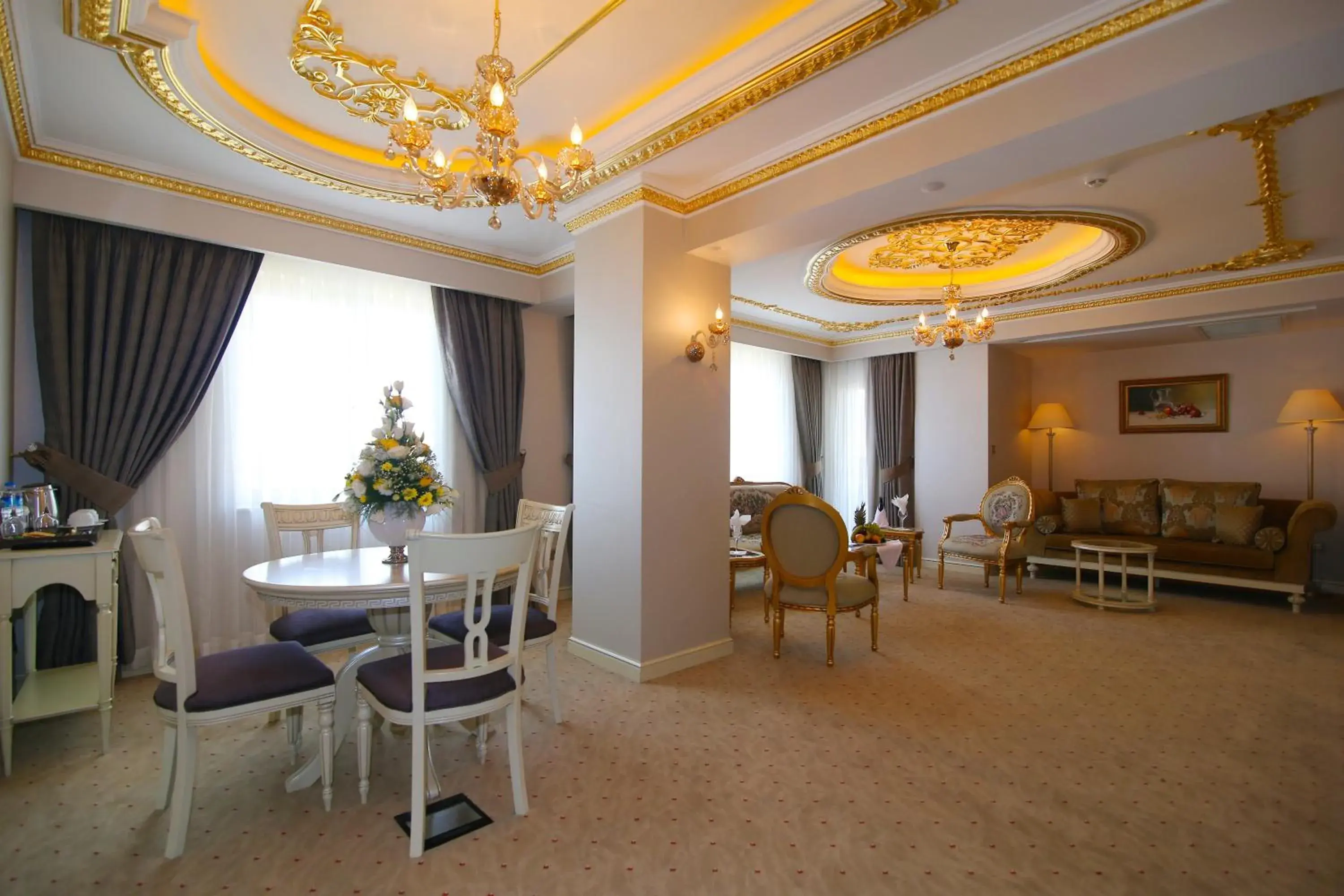 Seating area, Dining Area in Demir Hotel