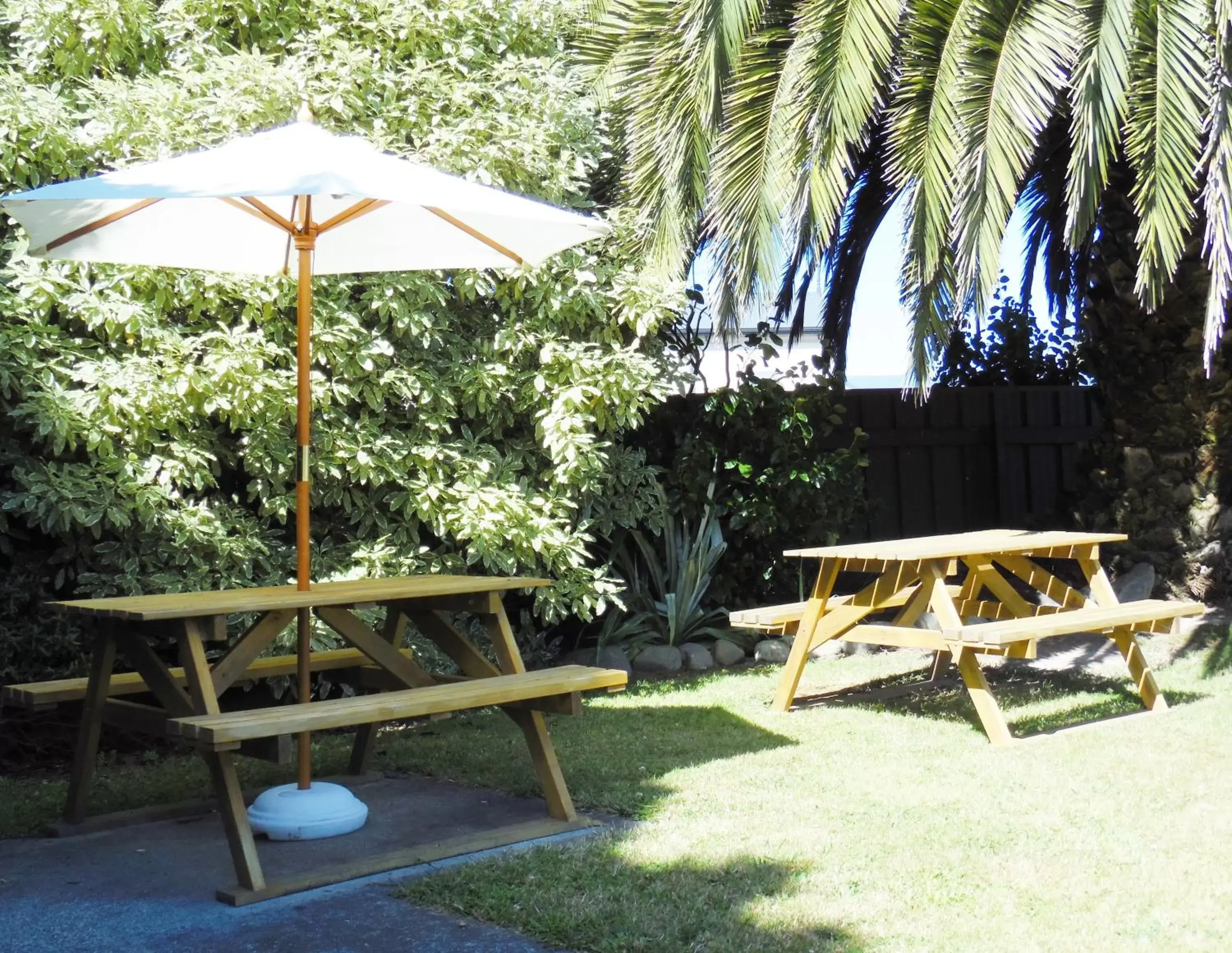 Summer, Garden in Kapiti Gateway Motel