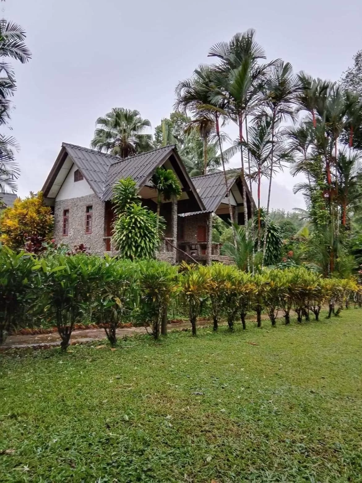 Tree Tops River Huts
