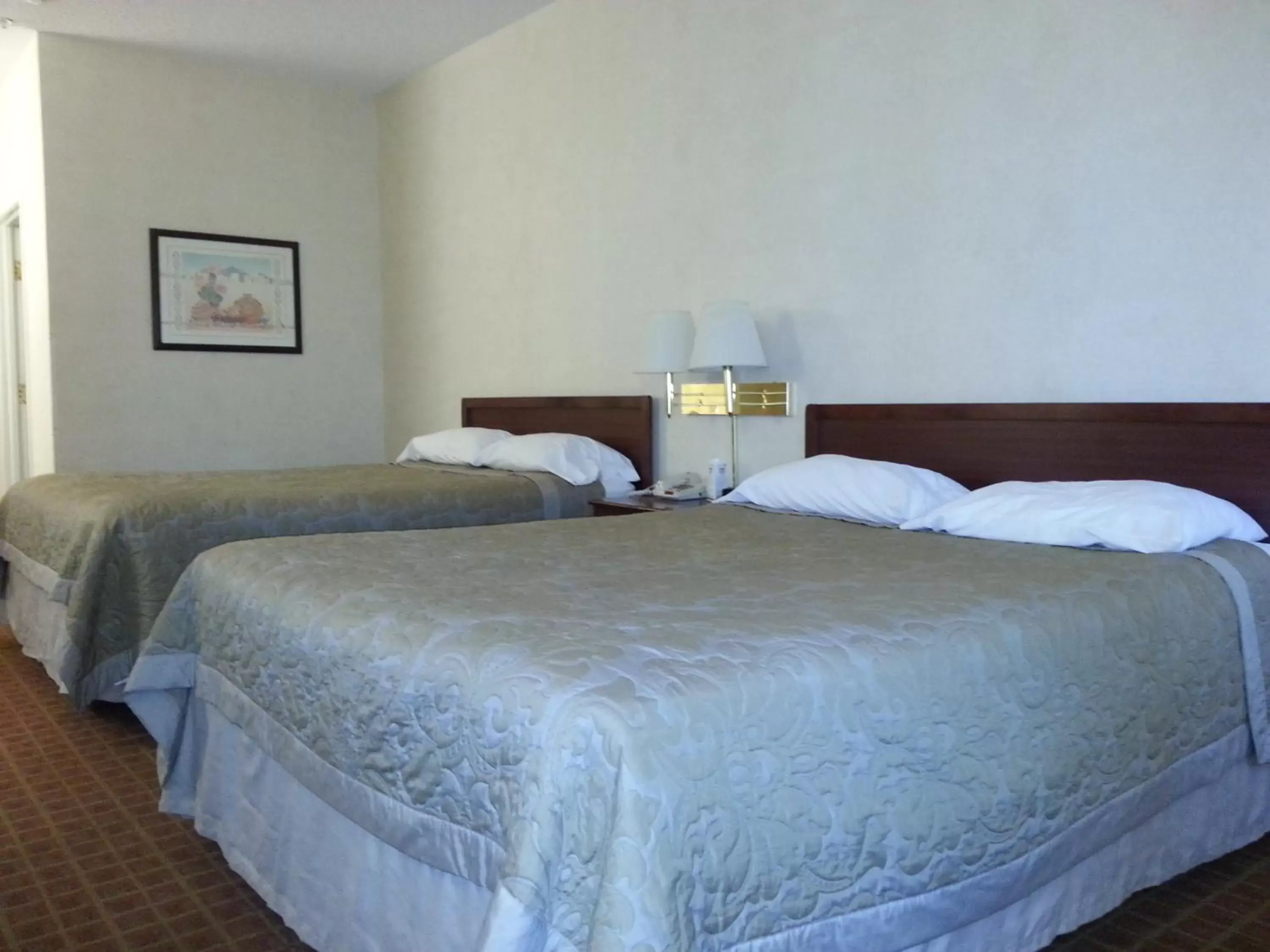 Bed in Super 8 by Wyndham Page/Lake Powell