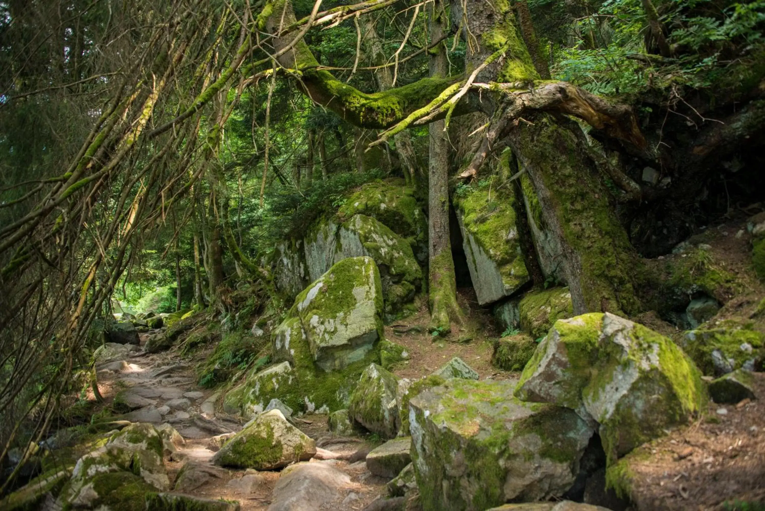 Natural Landscape in Appart'Hôtel LIDO au bord de l'eau