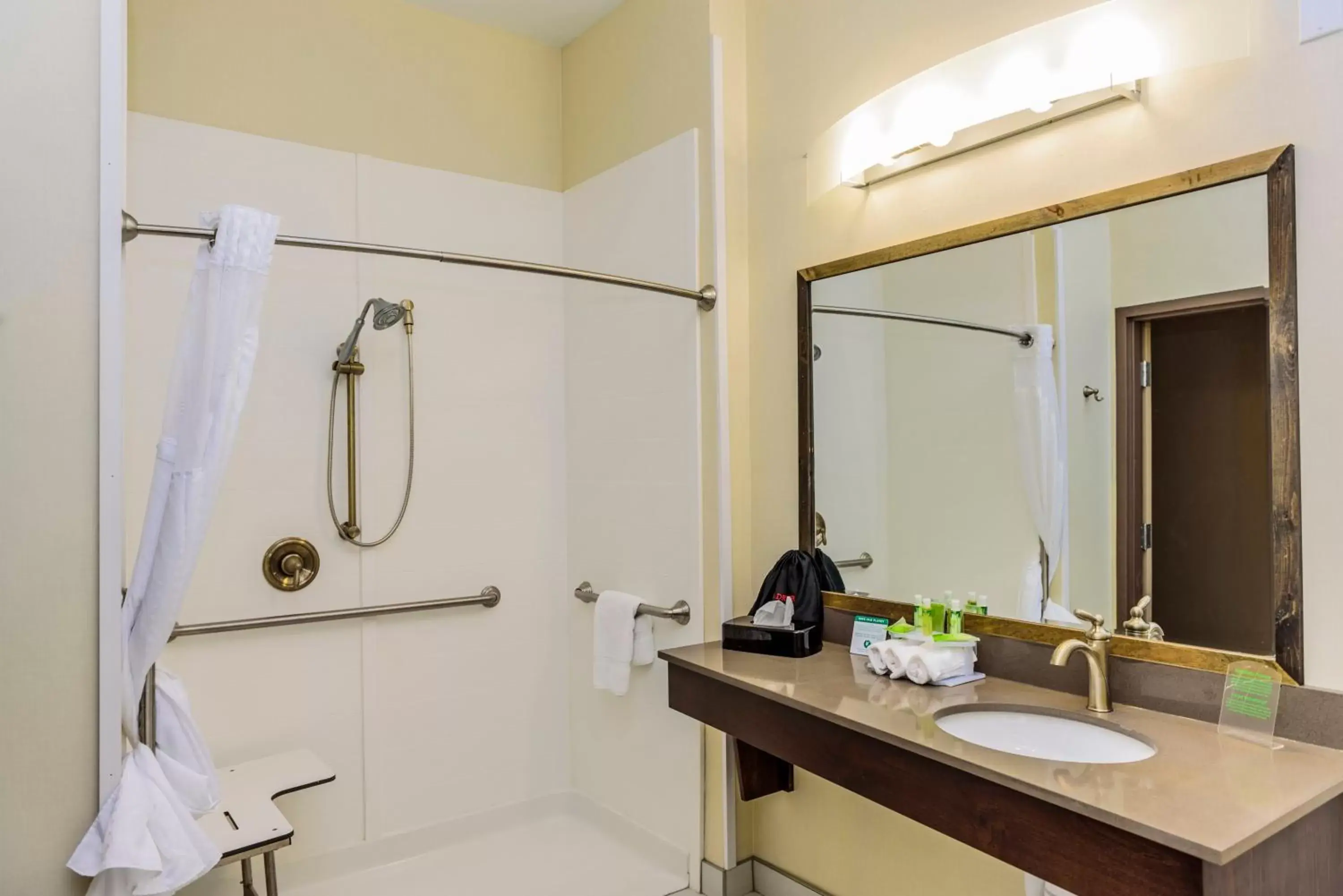 Photo of the whole room, Bathroom in Holiday Inn Express & Suites Cheektowaga North East, an IHG Hotel