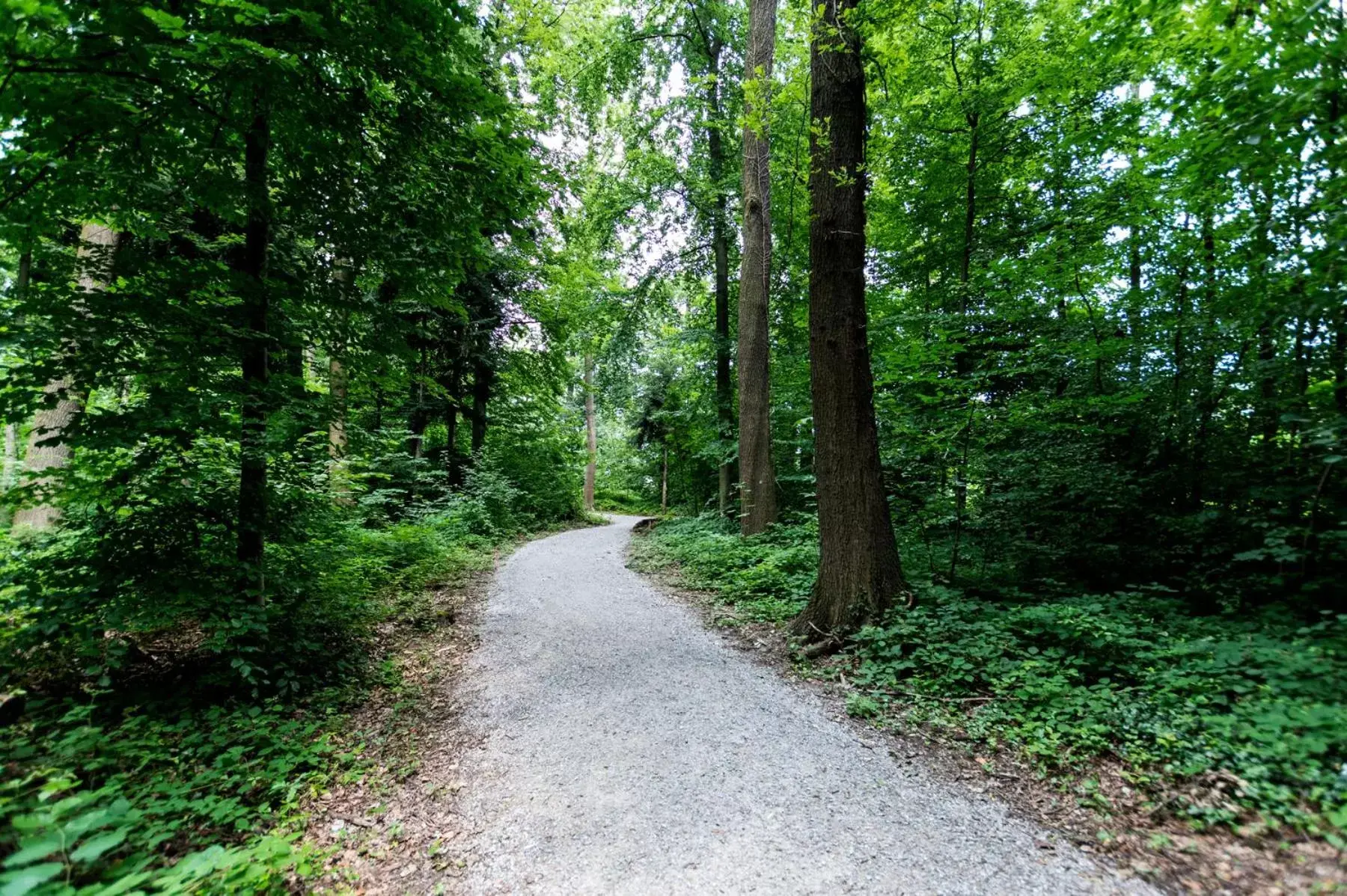 Natural landscape, Garden in B&B HOTEL Zürich Wallisellen