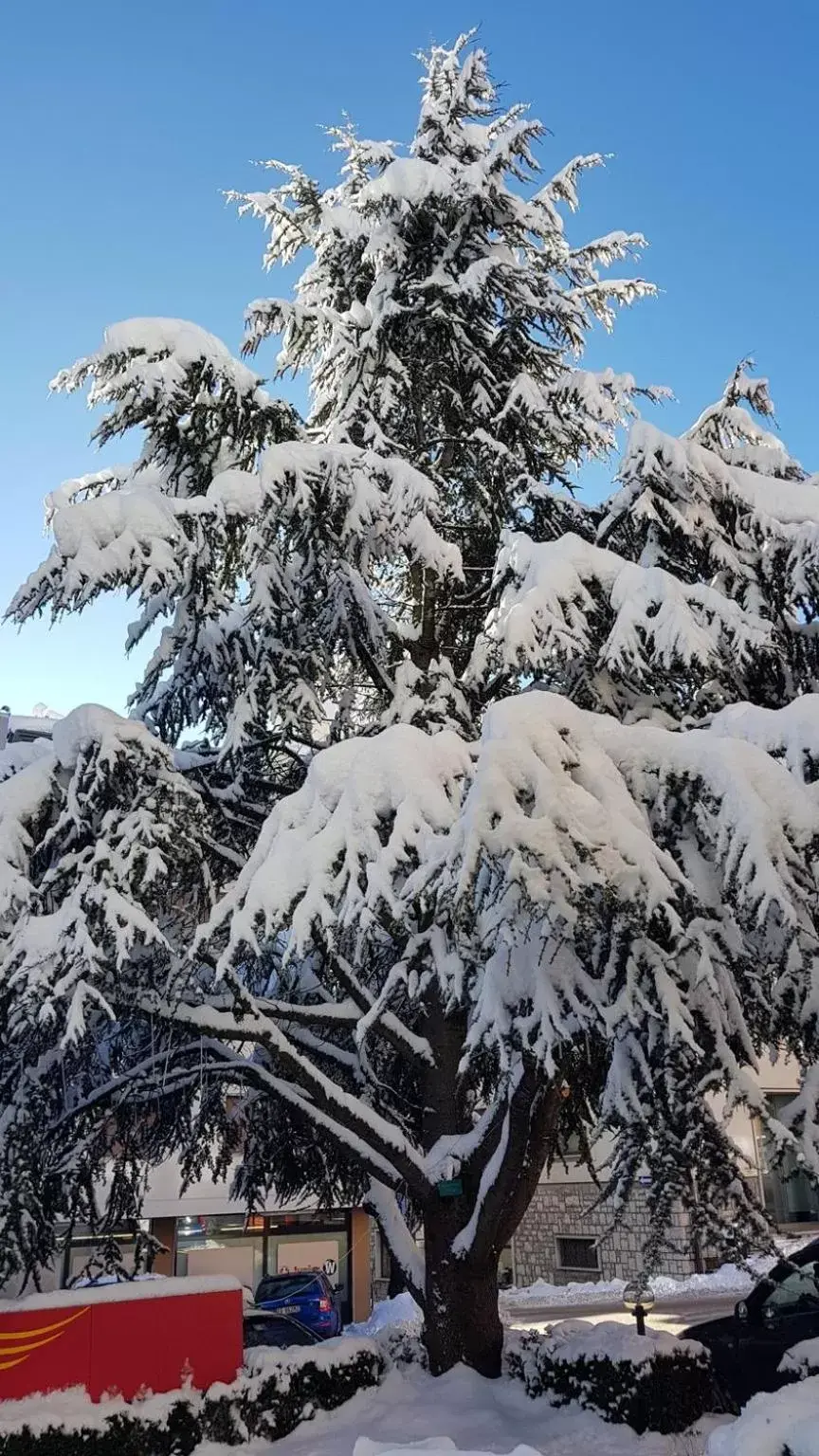 Winter in Locanda ai Dogi