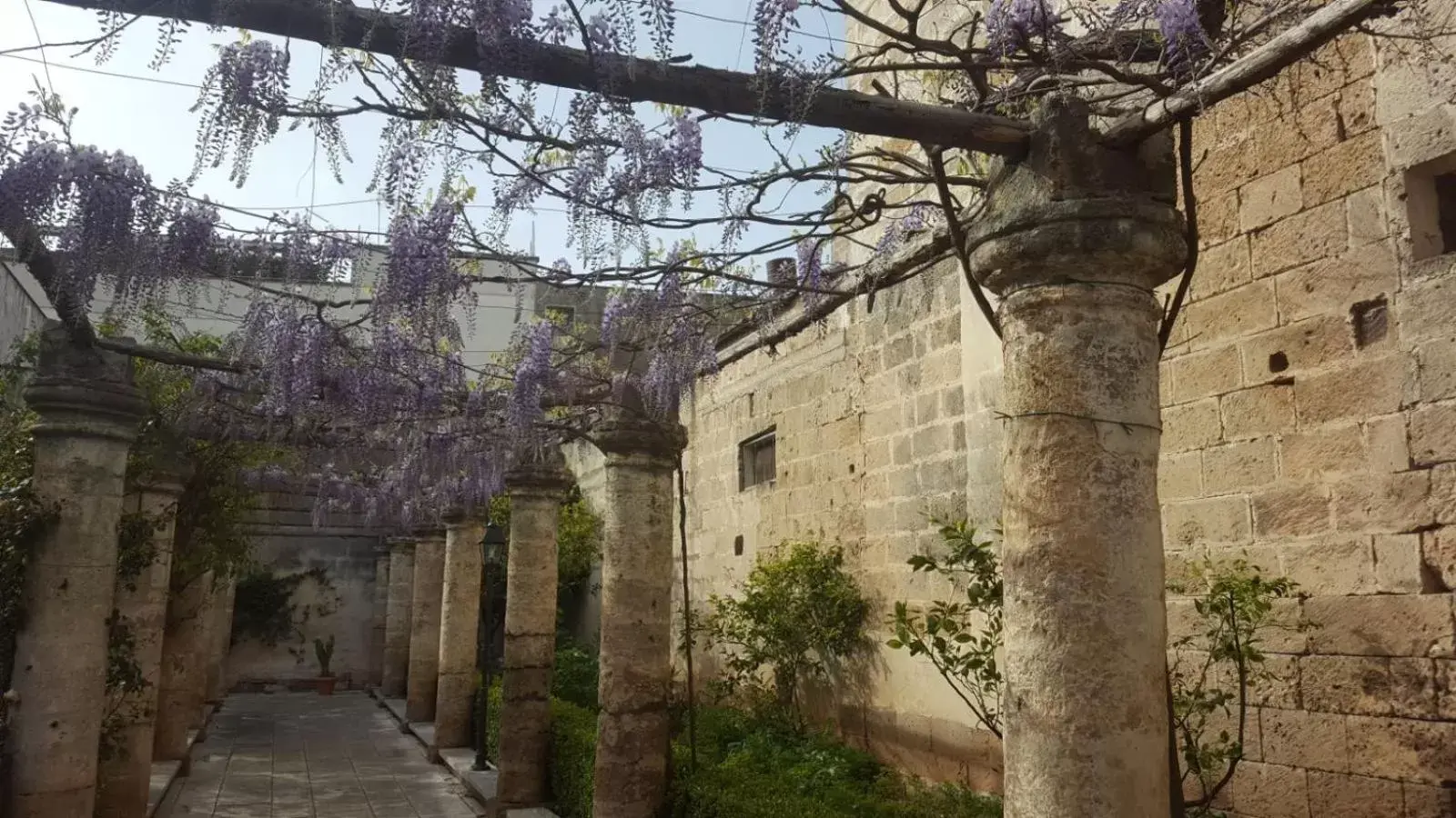 Garden, Property Building in Sine Tempore B&B